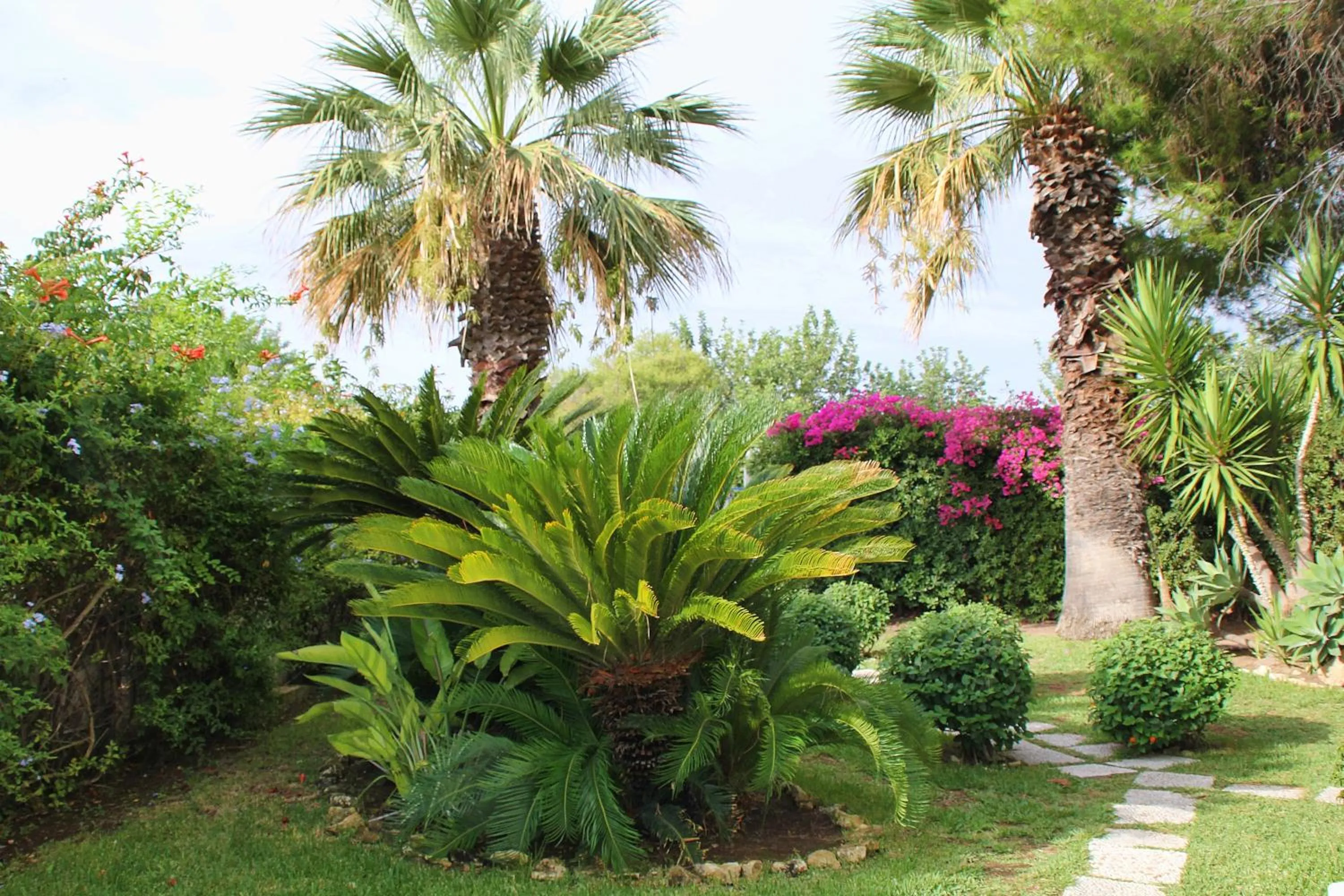 Garden in Suite House L'Isola Che Non C'è