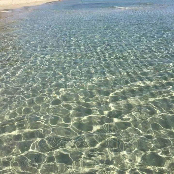 Suite House L'Isola Che Non C'è