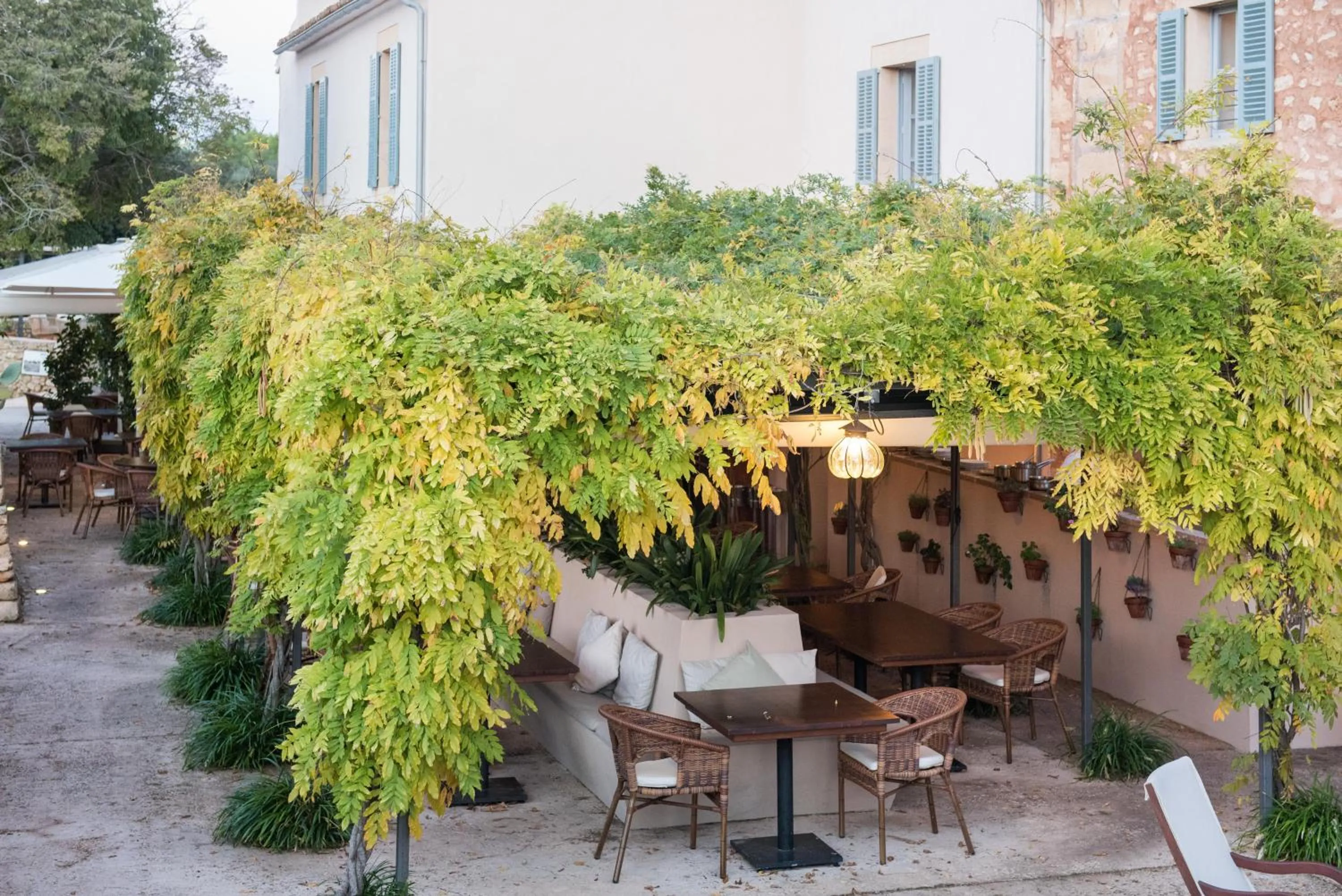 Balcony/Terrace in Predi Son Jaumell Hotel Rural