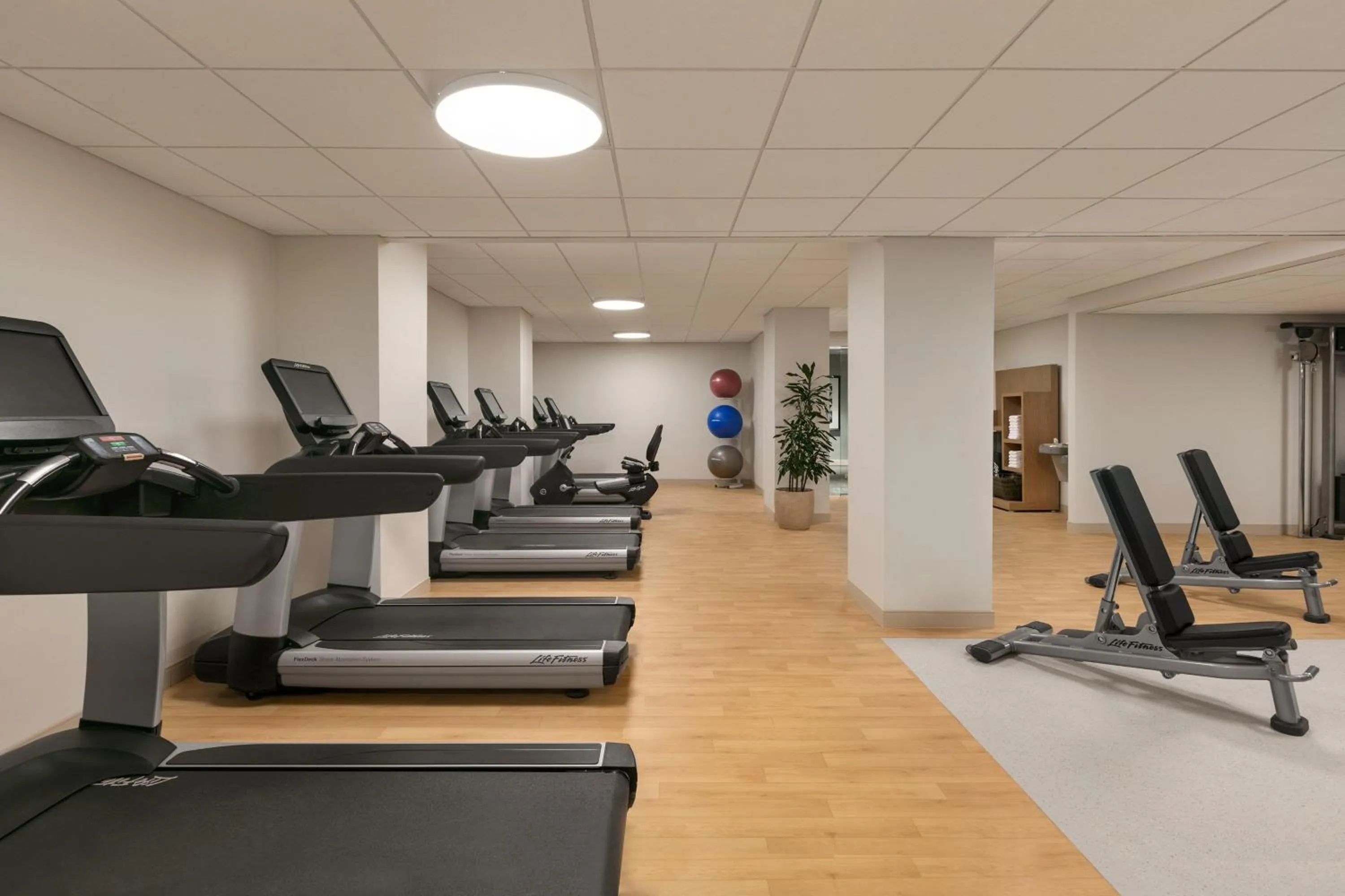 Fitness centre/facilities in Sheraton Raleigh Hotel