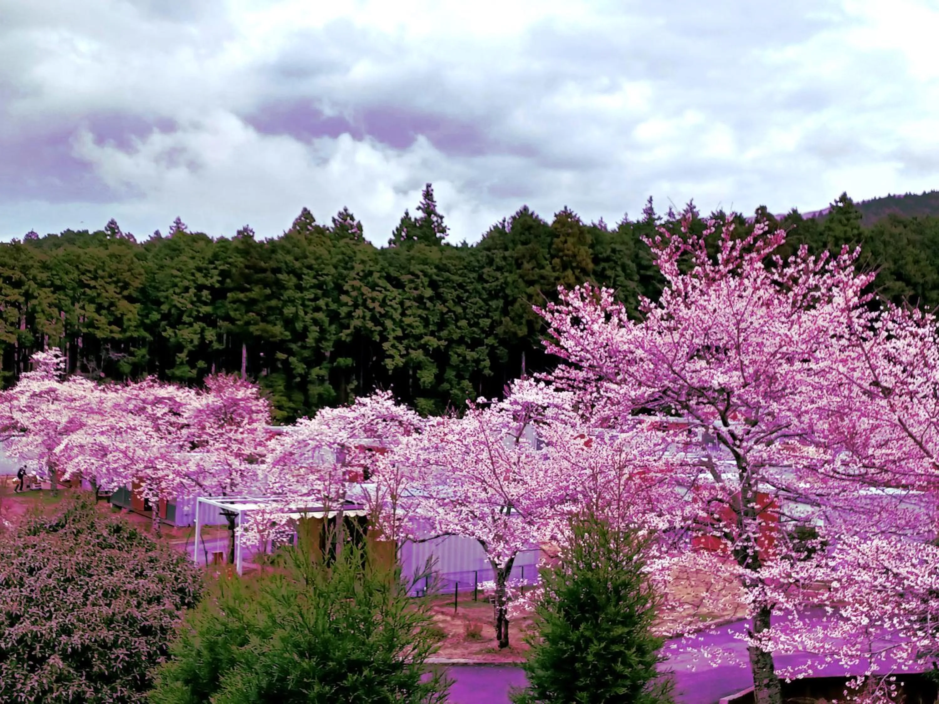 Property building in Mt Fuji View Villa Fujino Kirameki Fuji Gotemba