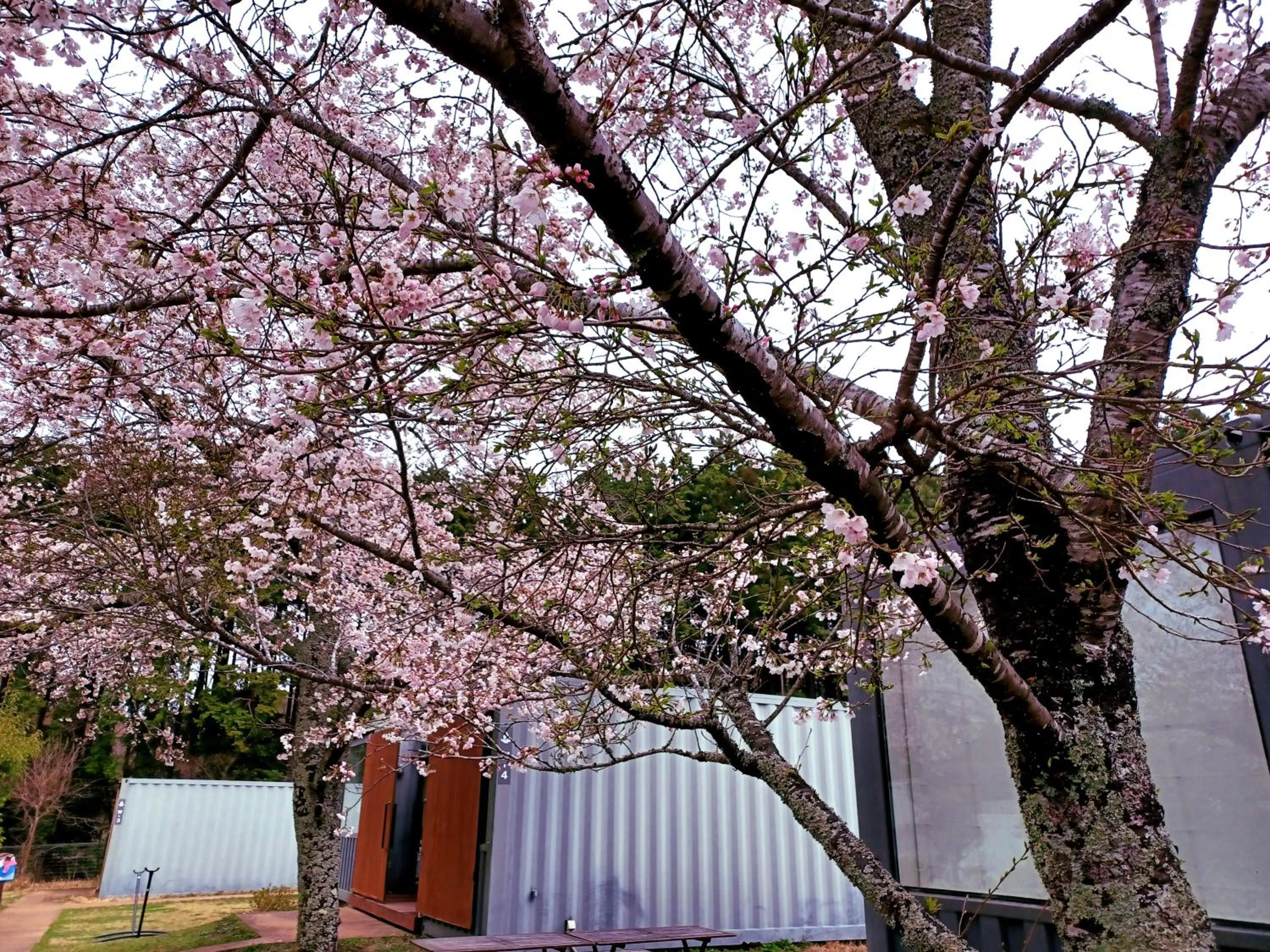 Mt Fuji View Villa Fujino Kirameki Fuji Gotemba