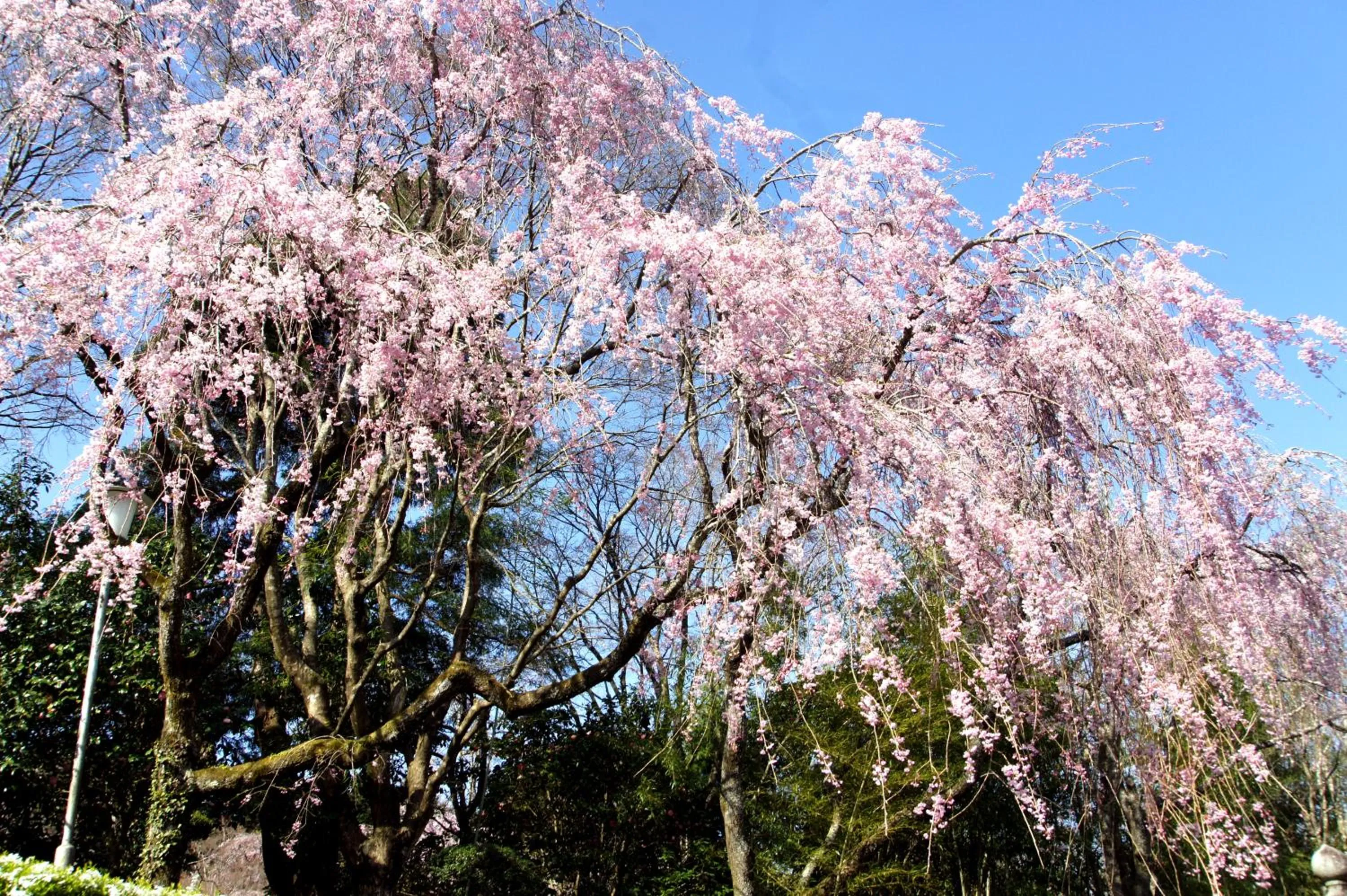 Mt Fuji View Villa Fujino Kirameki Fuji Gotemba