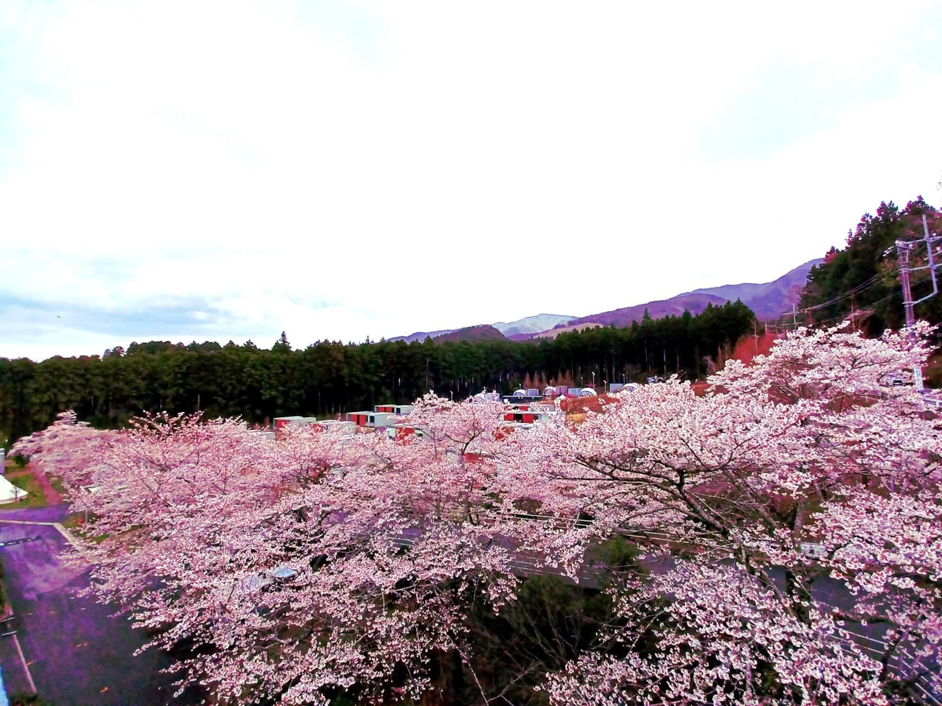 Spring in Mt Fuji View Villa Fujino Kirameki Fuji Gotemba