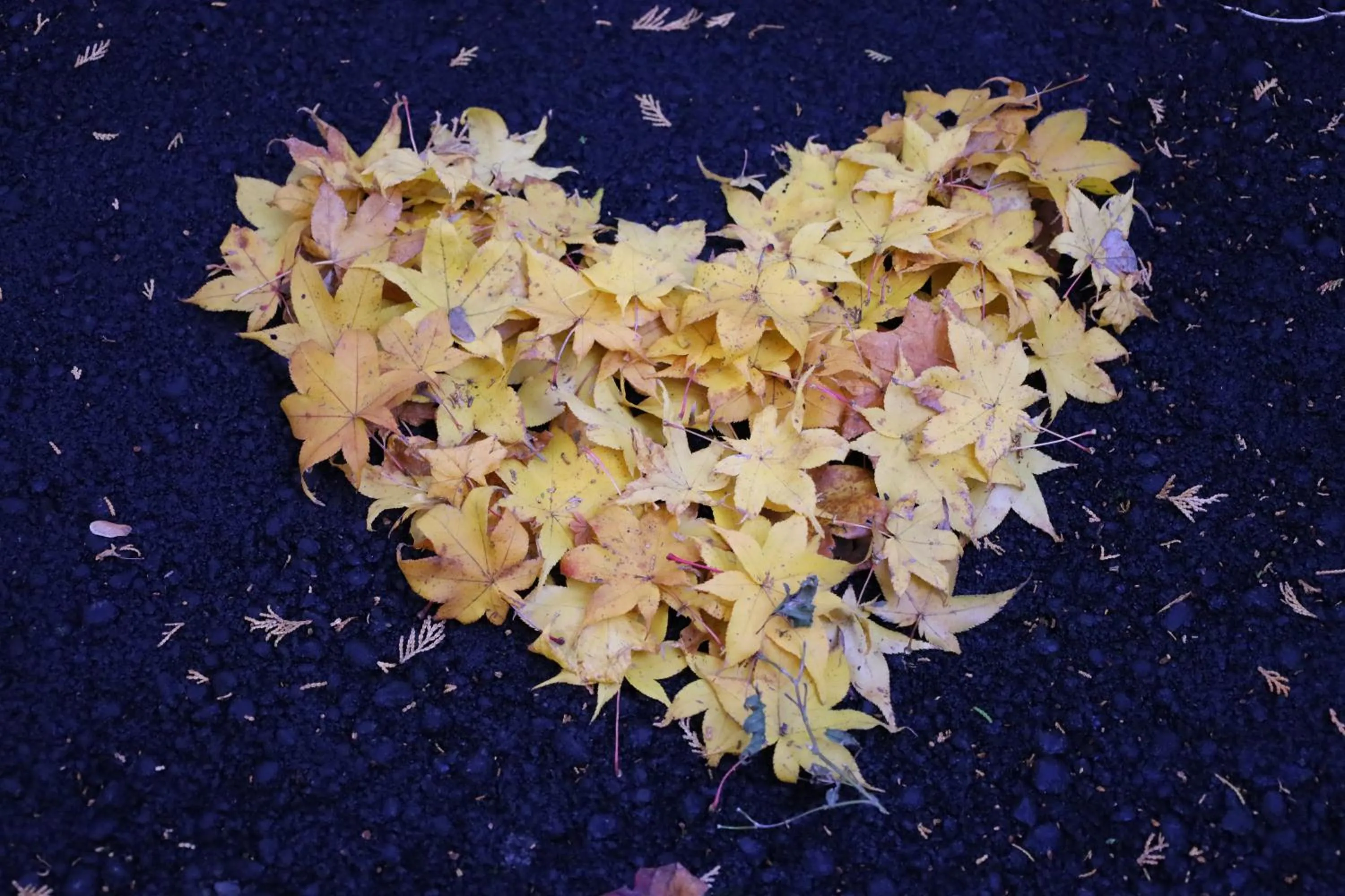 Mt Fuji View Villa Fujino Kirameki Fuji Gotemba