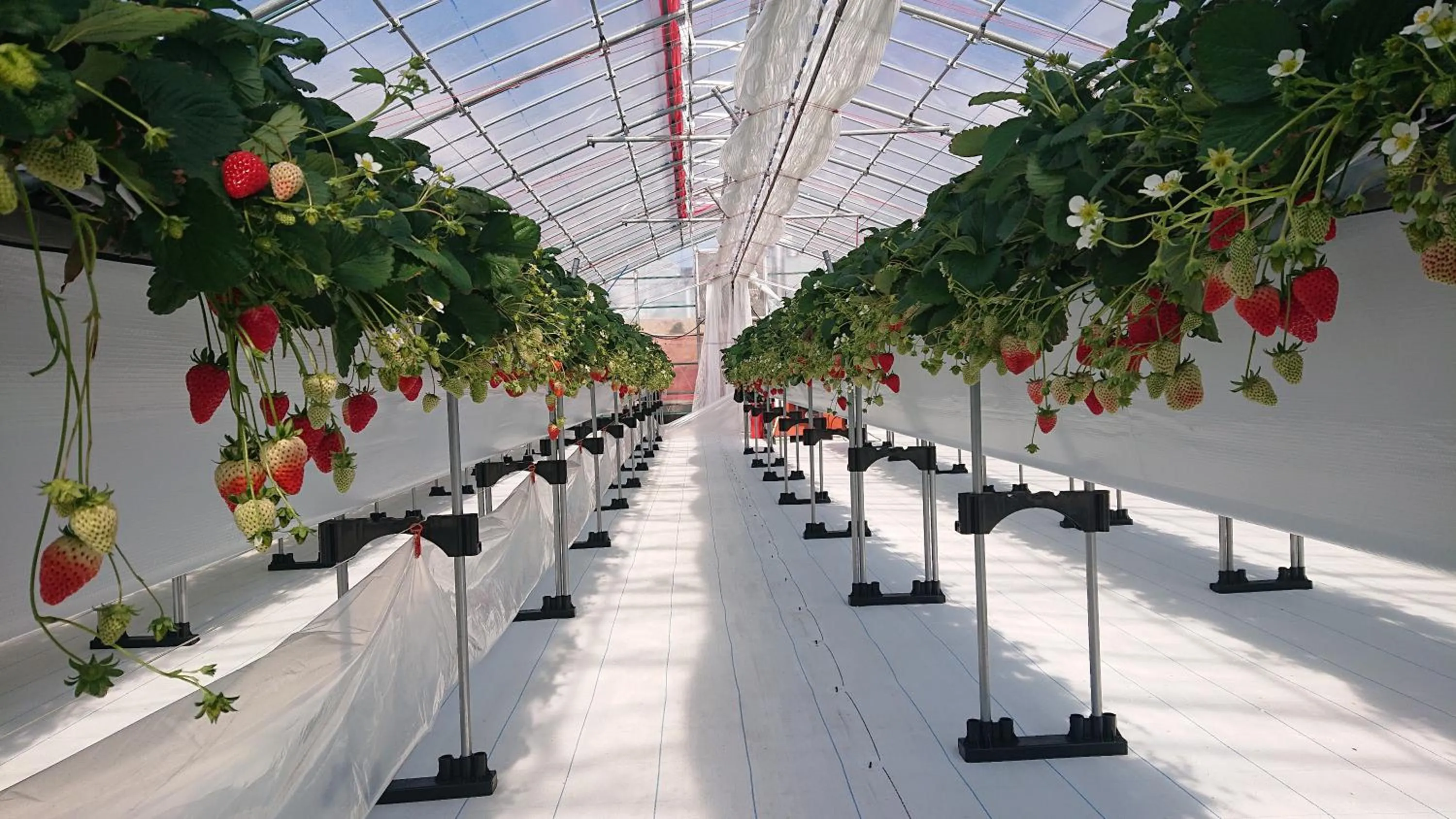 Mt Fuji View Villa Fujino Kirameki Fuji Gotemba