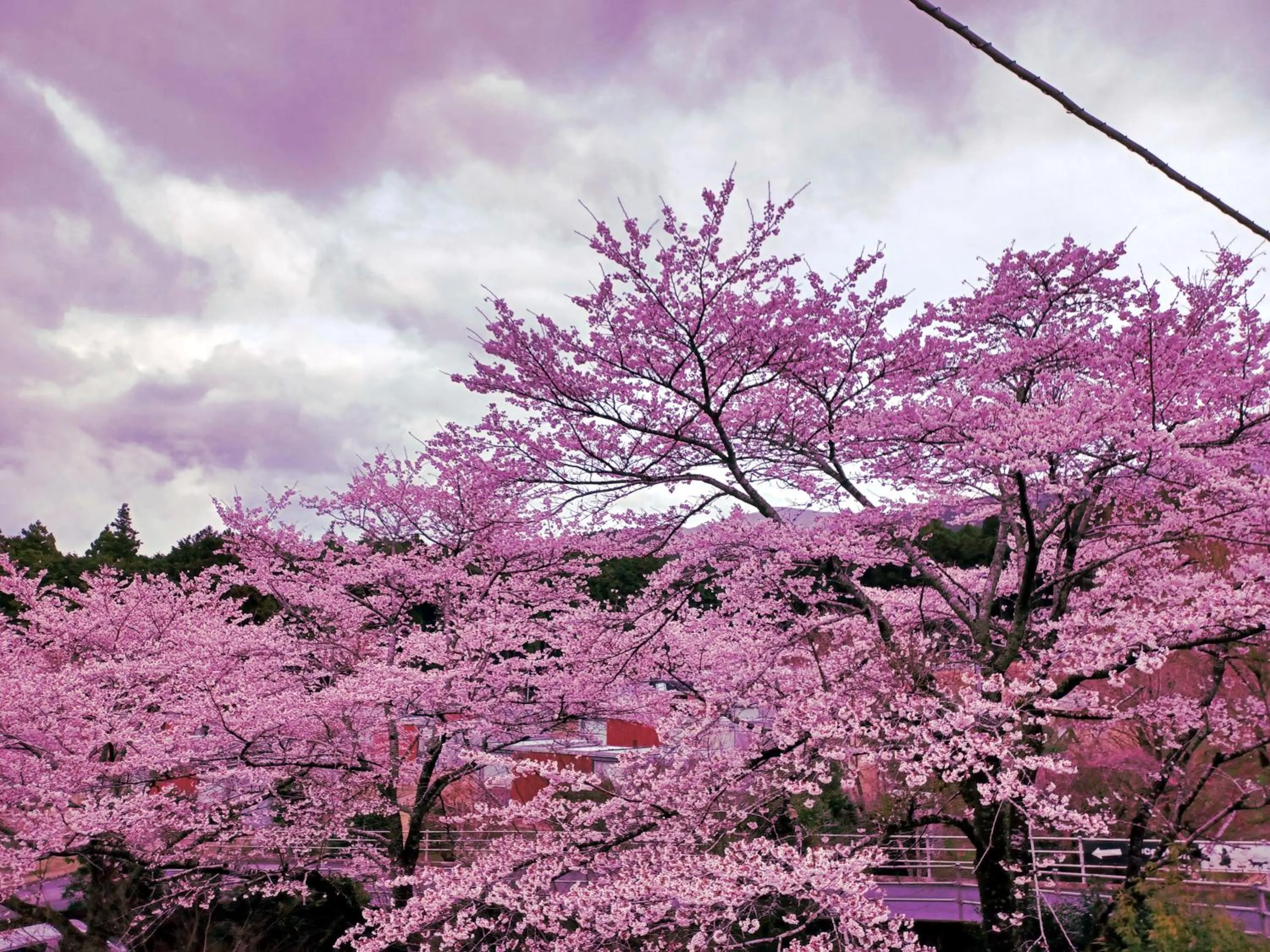 Mt Fuji View Villa Fujino Kirameki Fuji Gotemba
