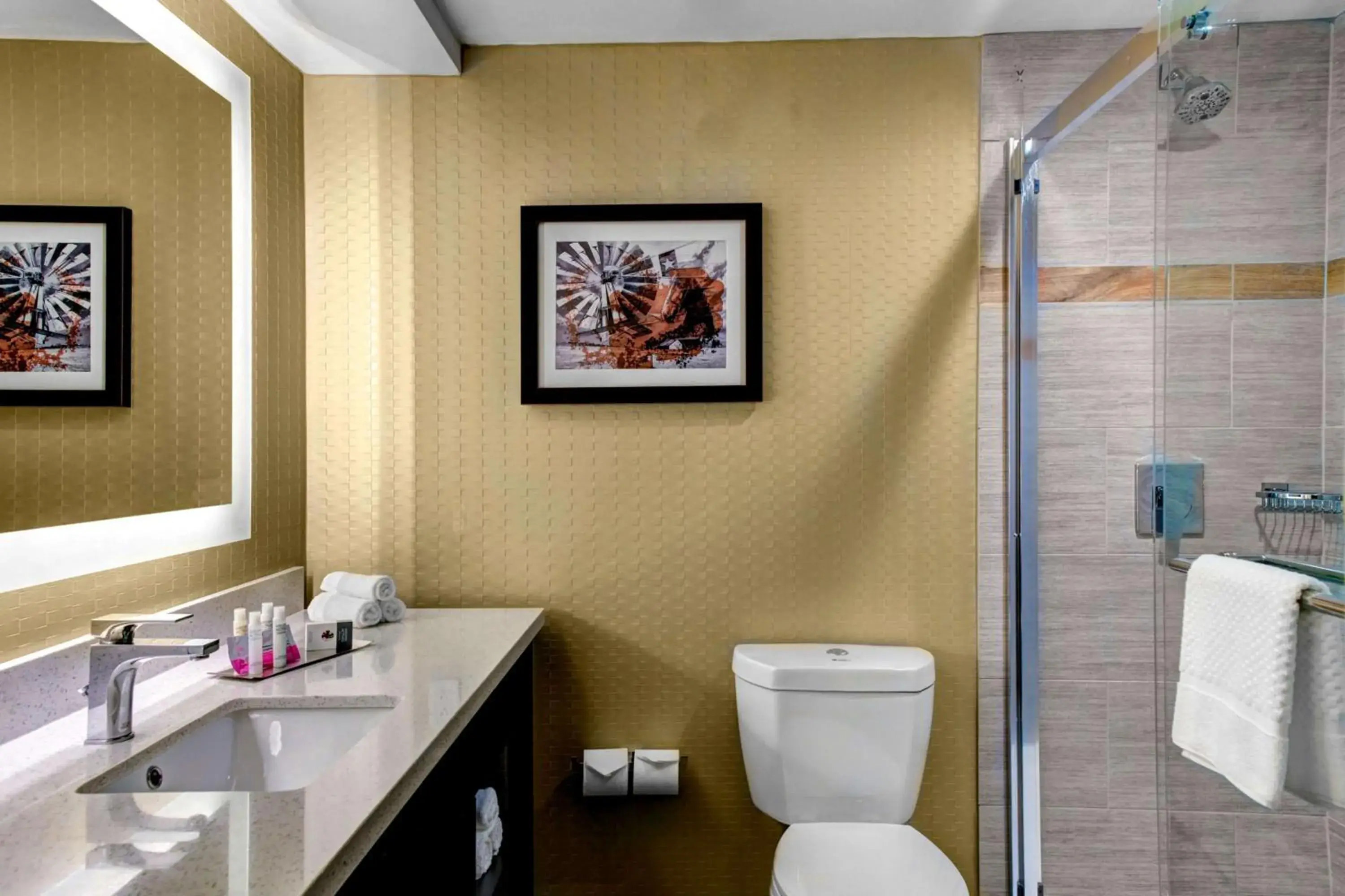 King Room in Doubletree by Hilton Arlington DFW South King Room in Doubletree by Hilton Arlington DFW South