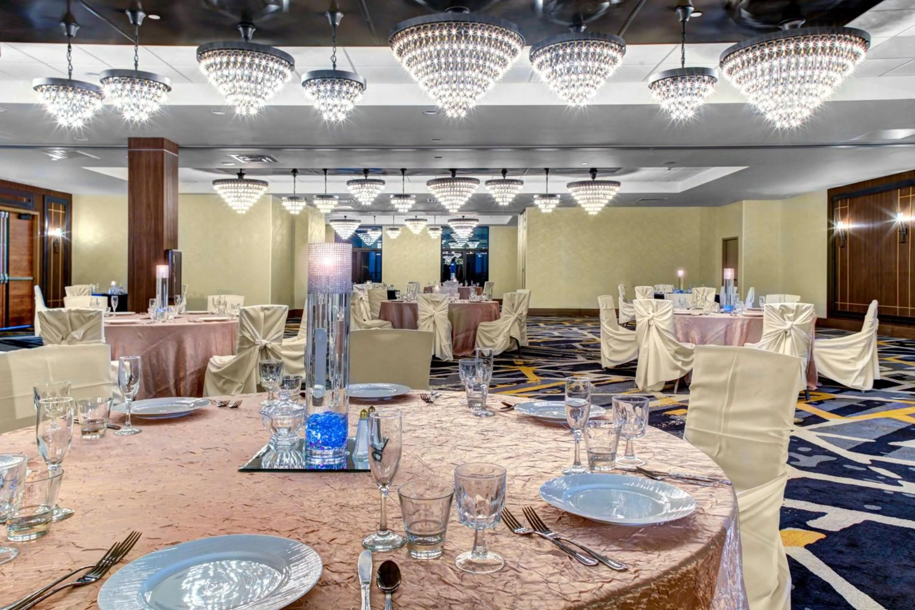 Meeting/conference room in Doubletree by Hilton Arlington DFW South