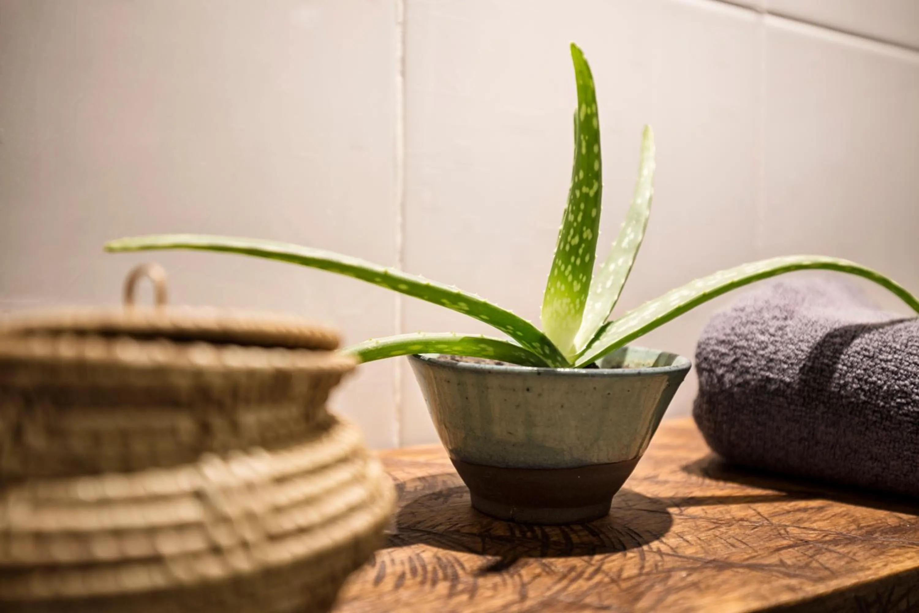 Bathroom in Babel Siem Reap Guesthouse
