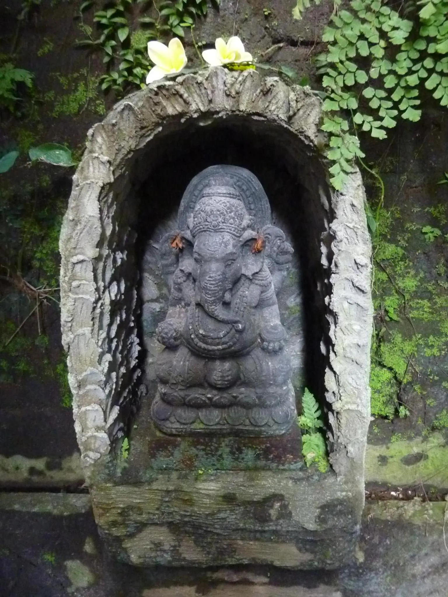 Property building in Bali Asli Lodge by EPS