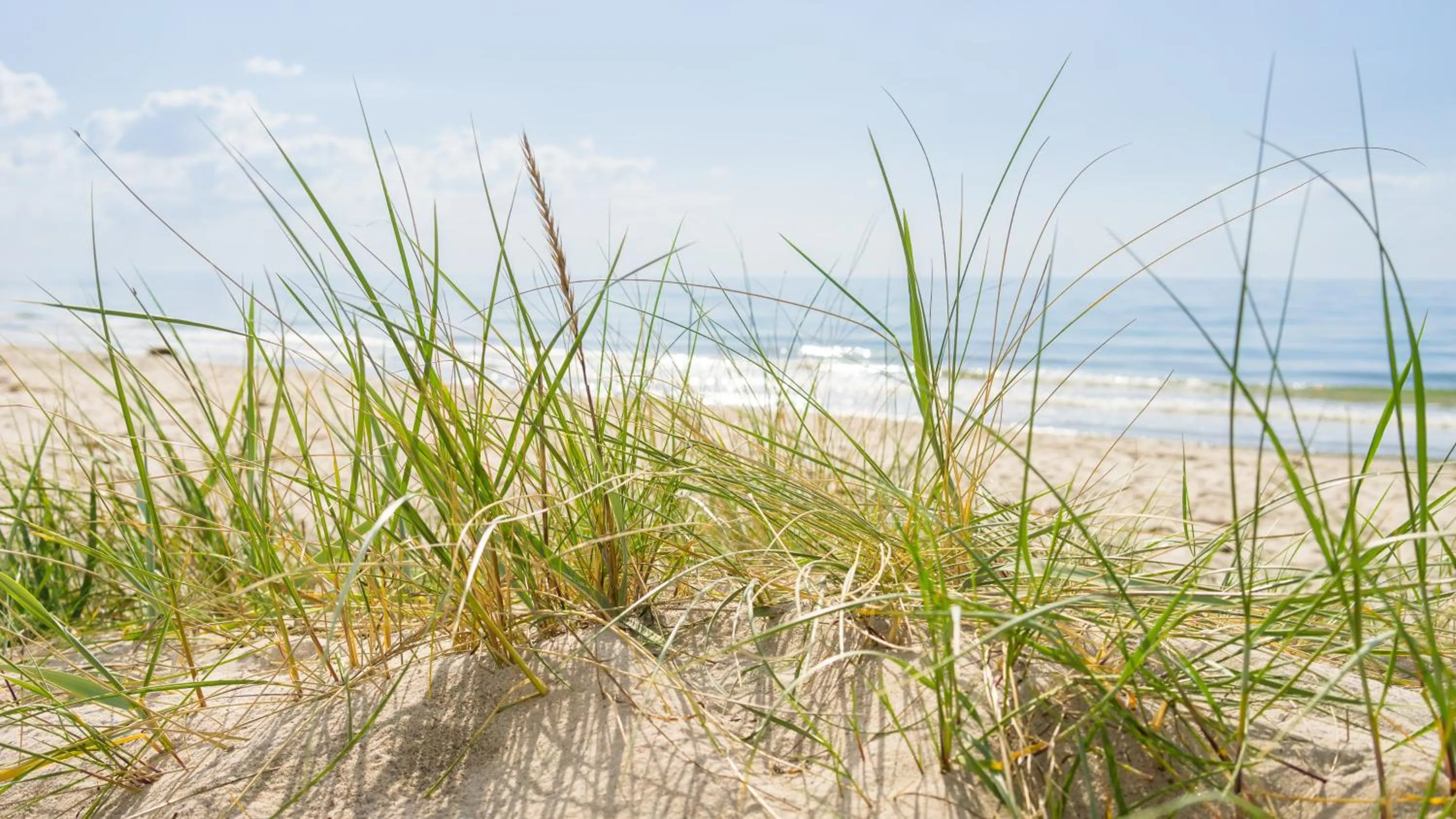 Natural landscape in Hotel Strandräuber