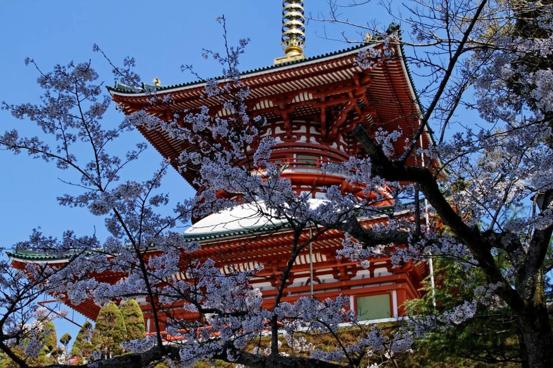 Location in Welco Narita