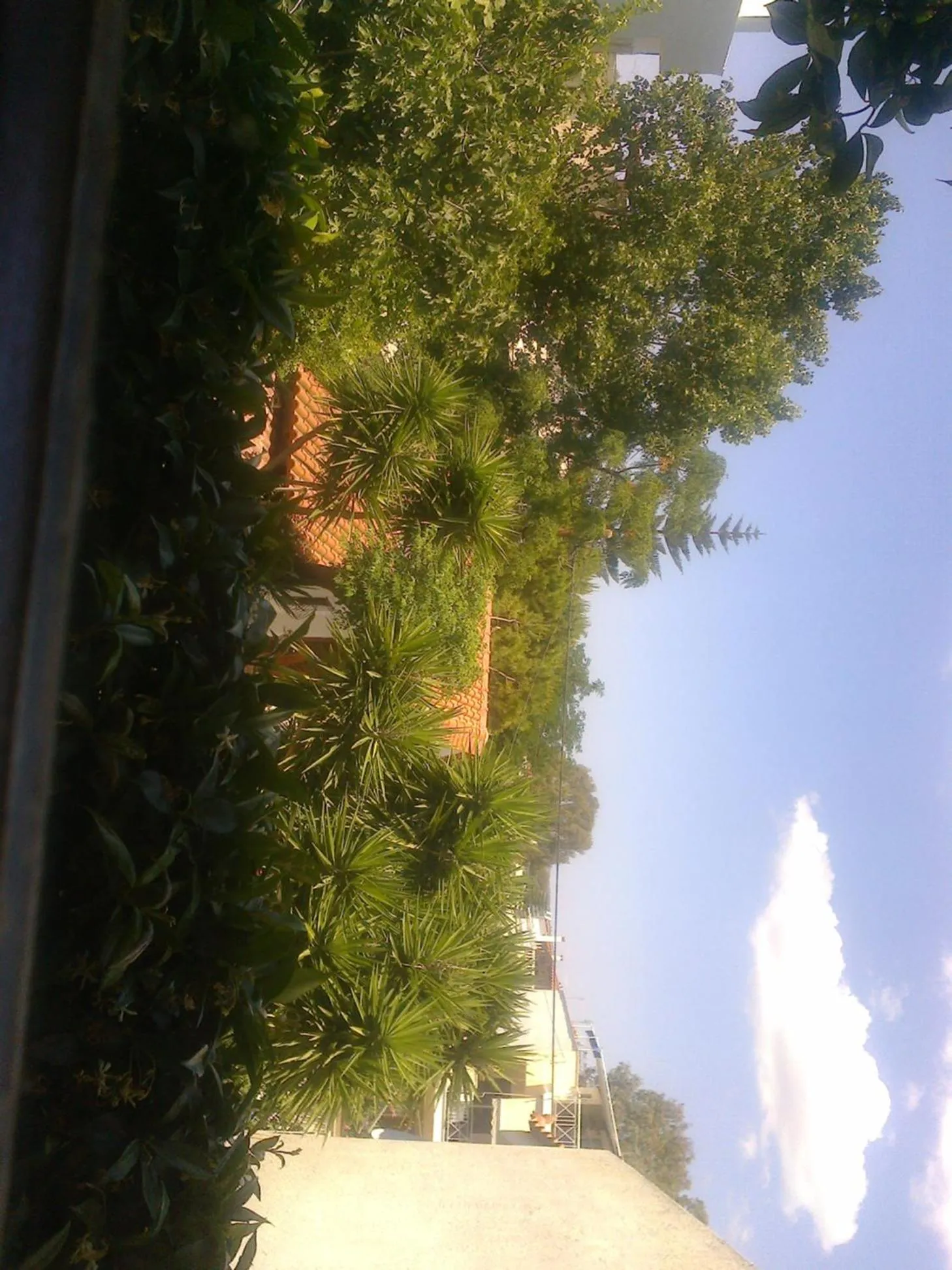 Garden view in Villa Belmar Self-Catered Apartments