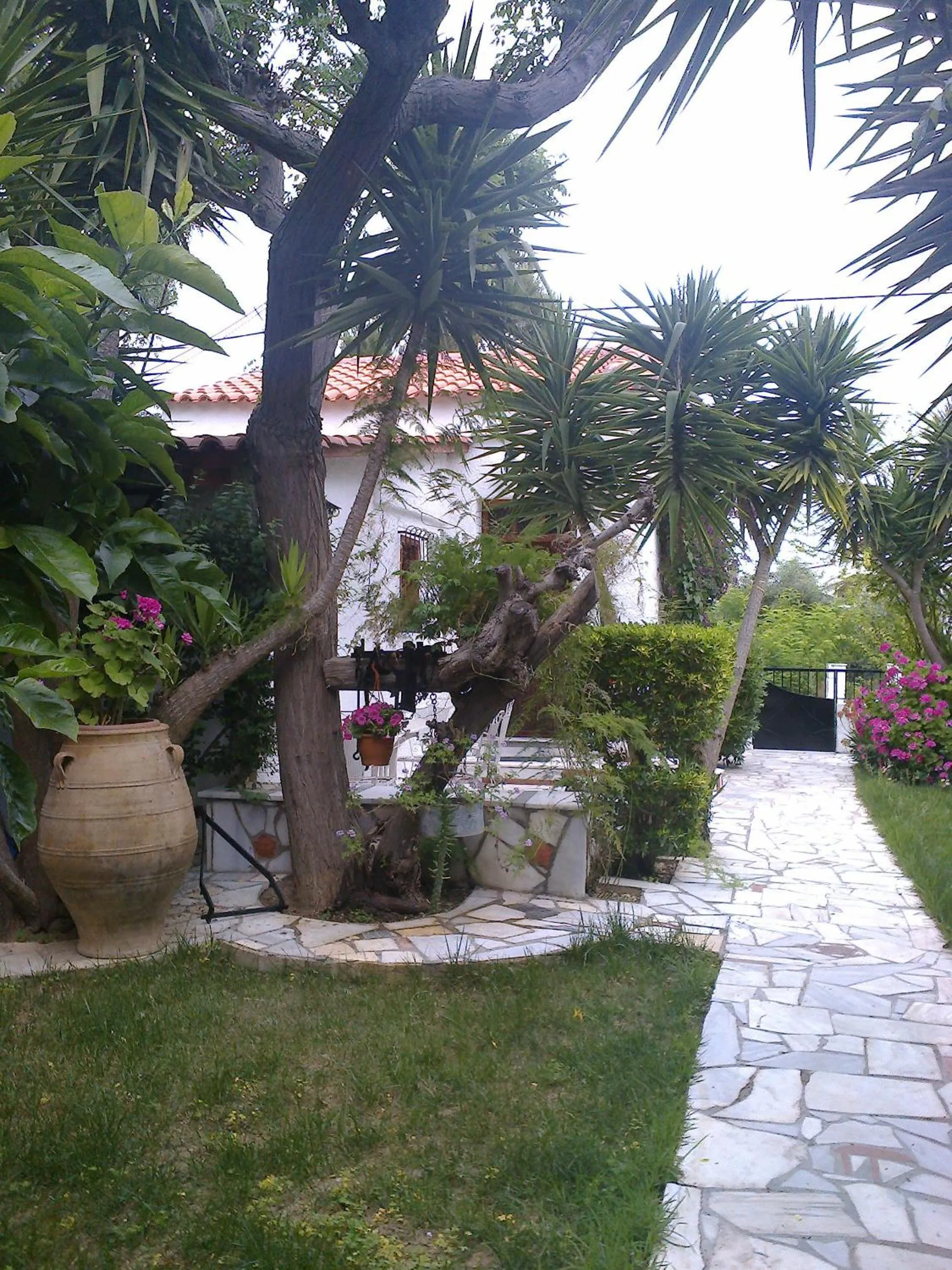 Garden view in Villa Belmar Self-Catered Apartments