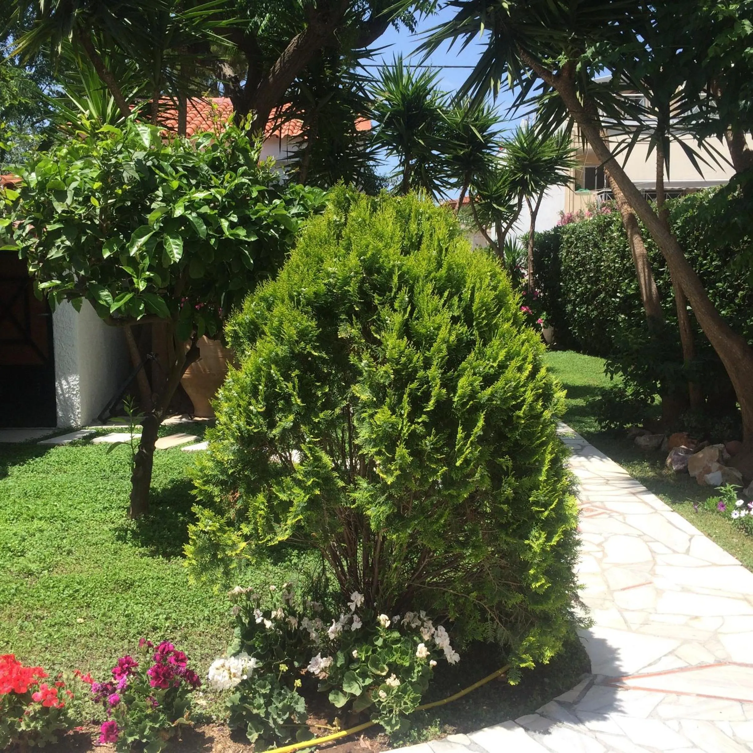 Garden in Villa Belmar Self-Catered Apartments