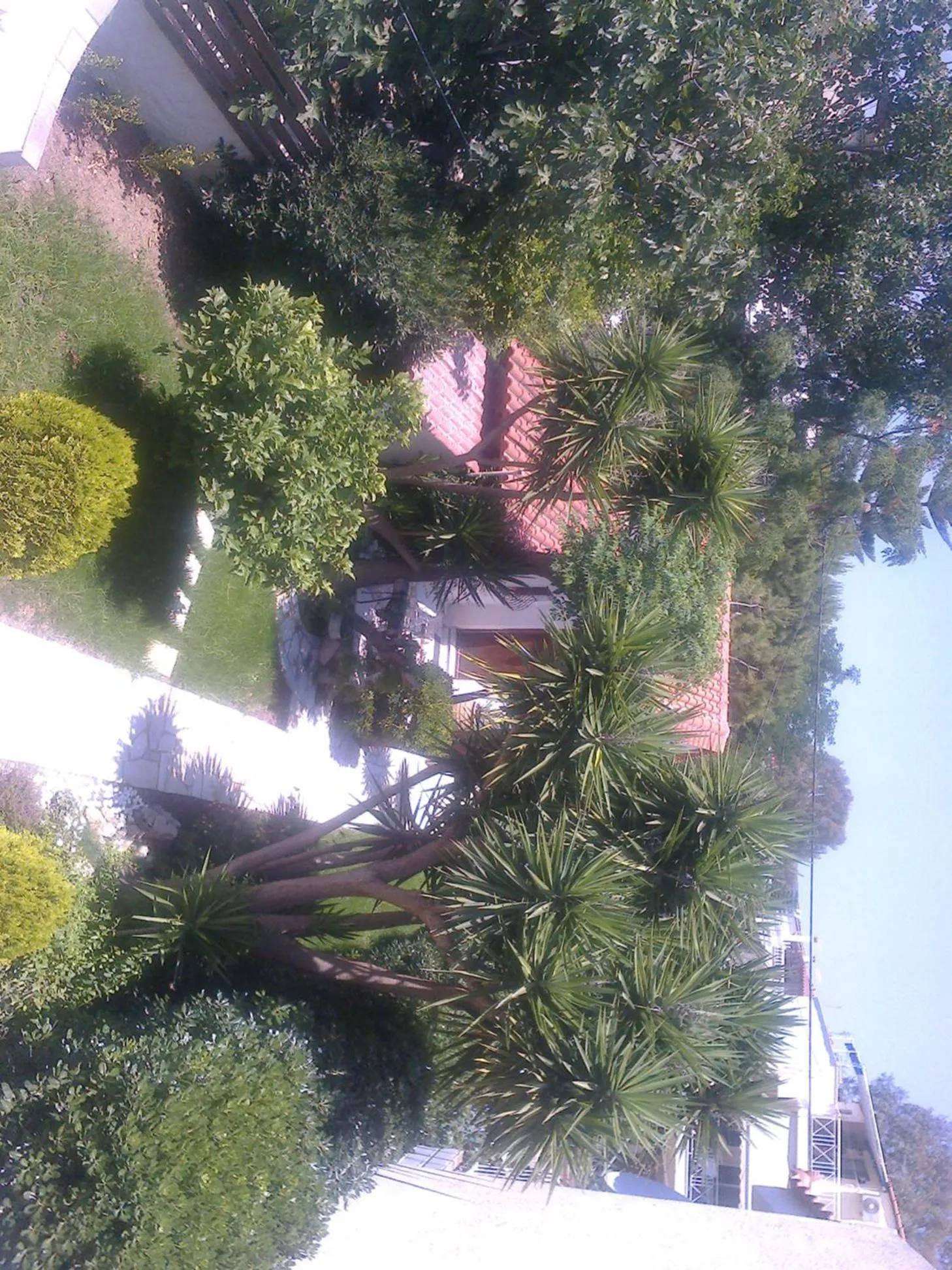 Garden view in Villa Belmar Self-Catered Apartments