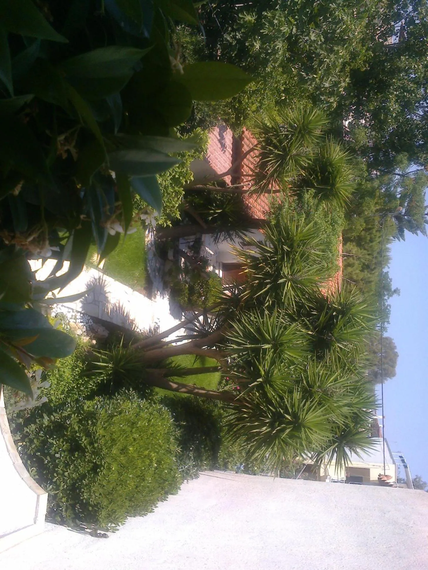 Garden view in Villa Belmar Self-Catered Apartments