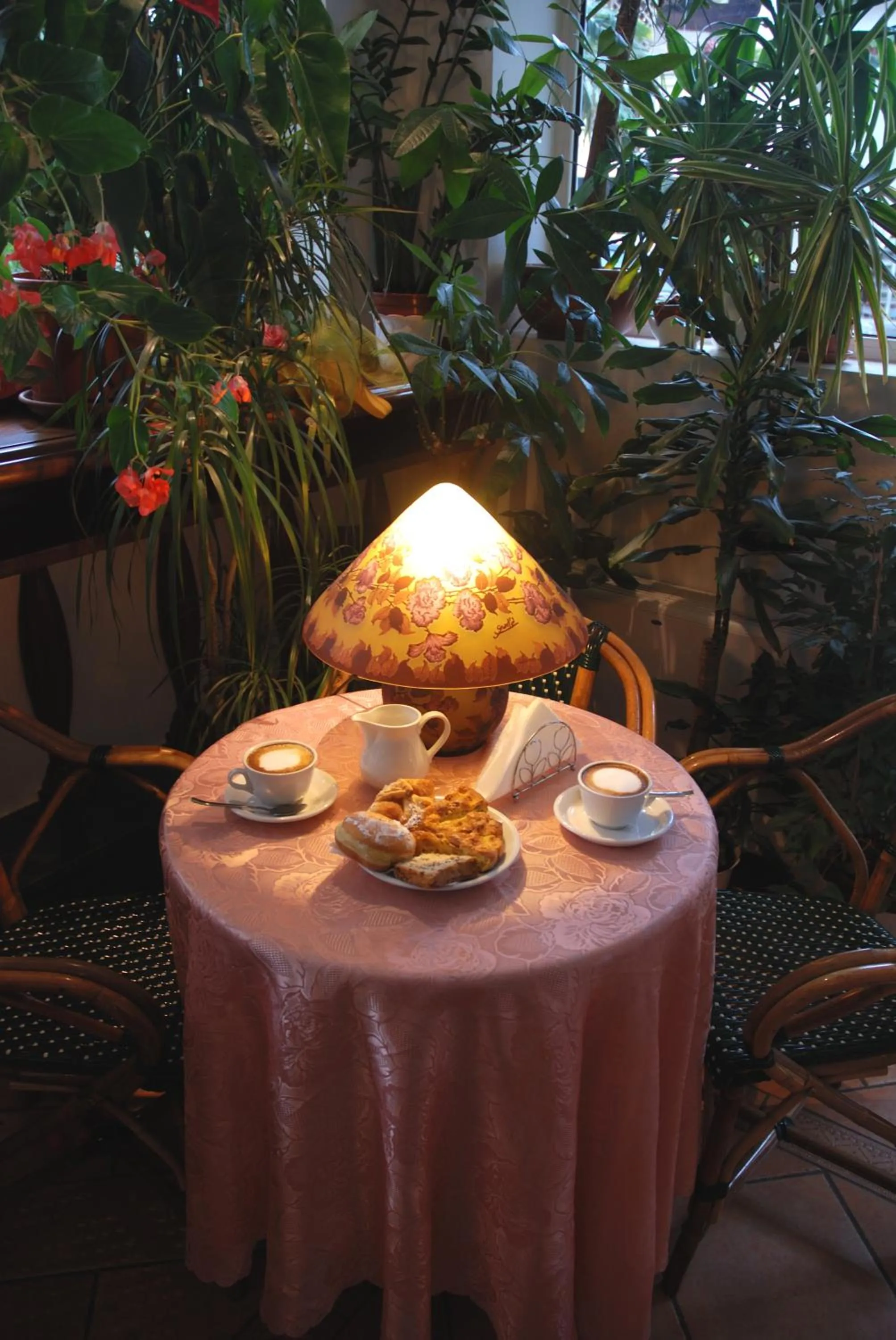 Garden in Hotel Residence Veliero