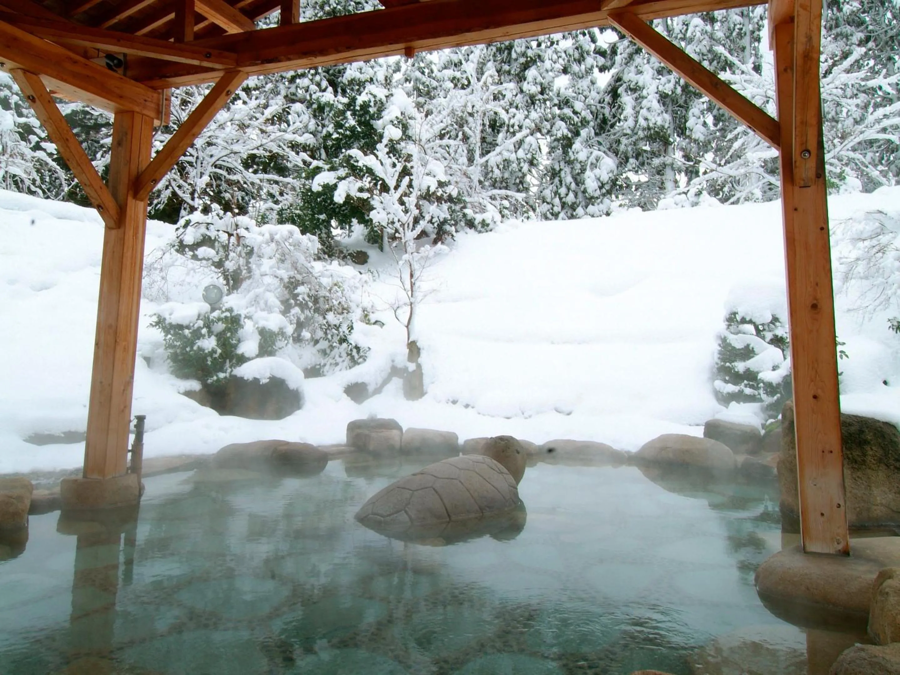 Hot Spring Bath in Choseikan