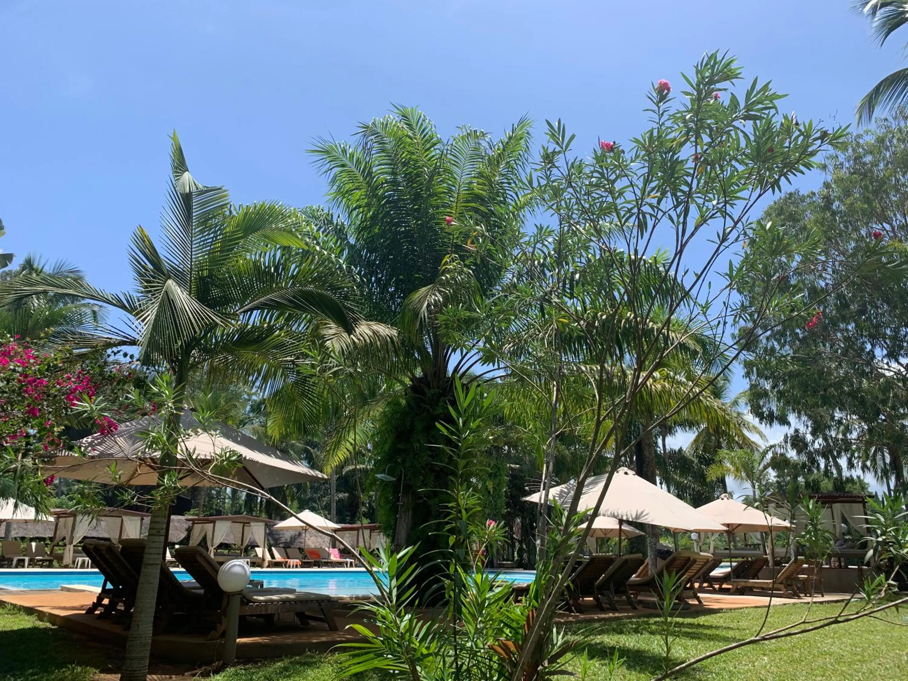 Pool view in Hotel Coucoue Lodge