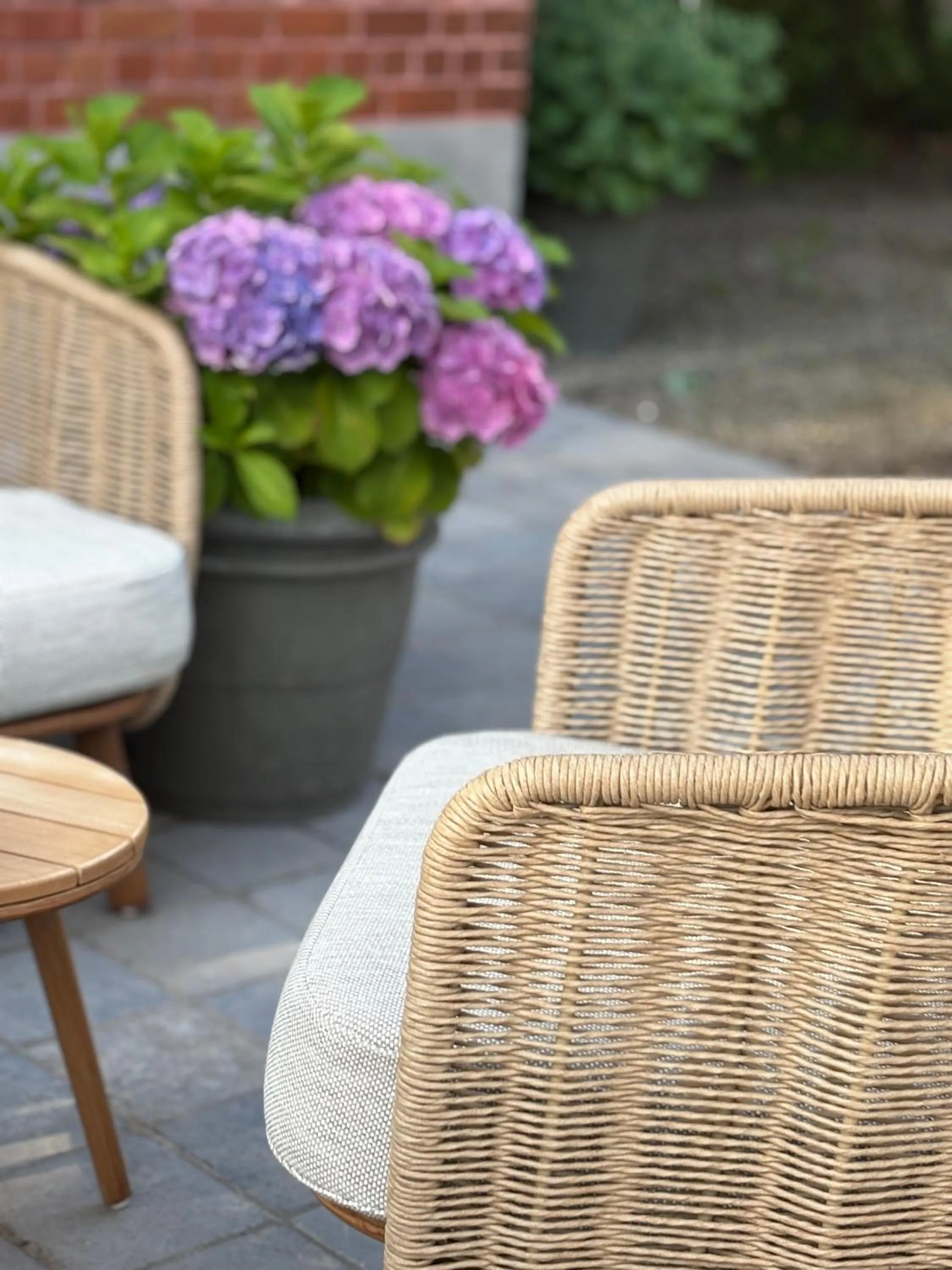 Garden in B&B 't Kasteel & 't Koetshuys