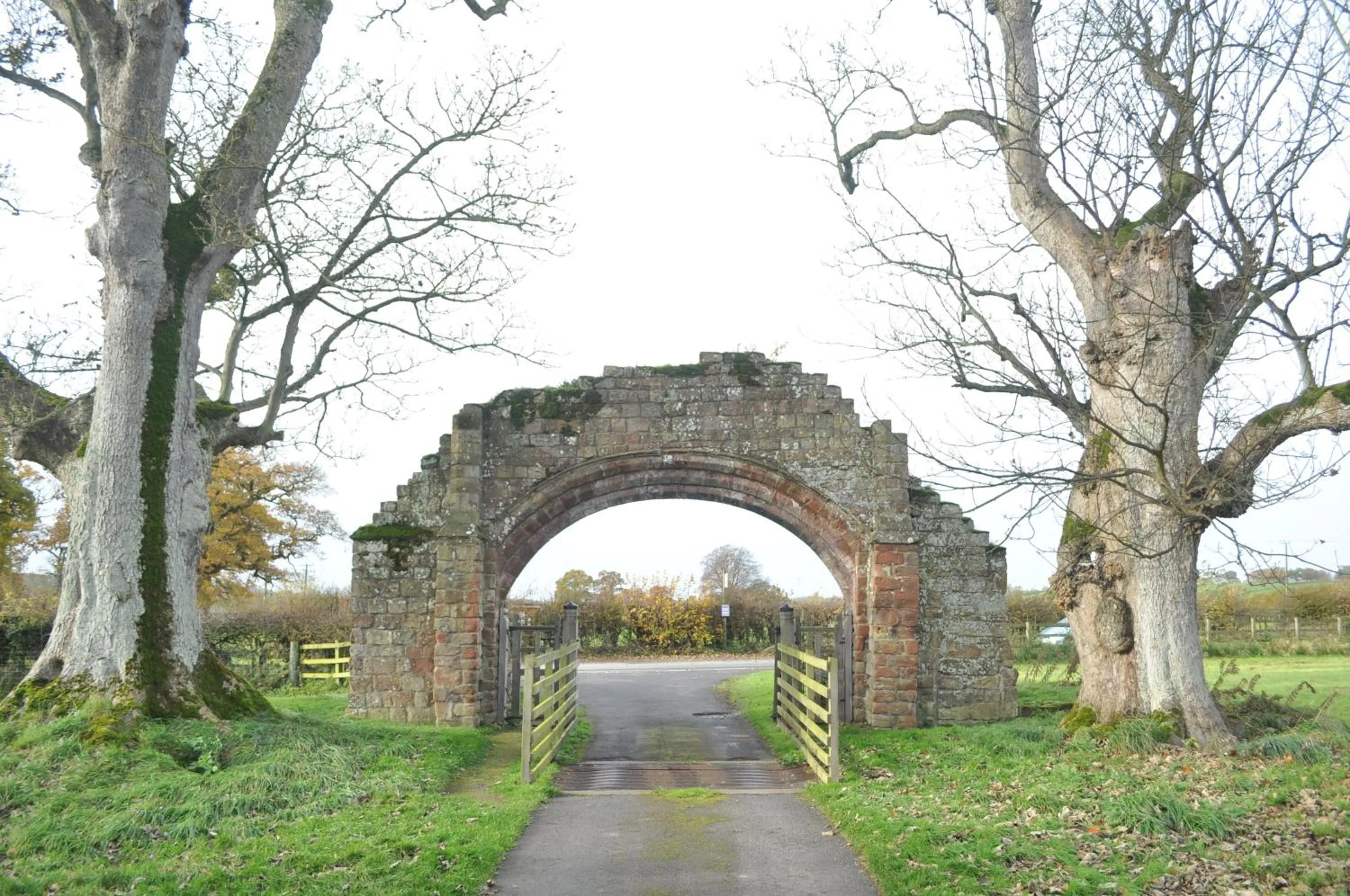 Day in String Of Horses