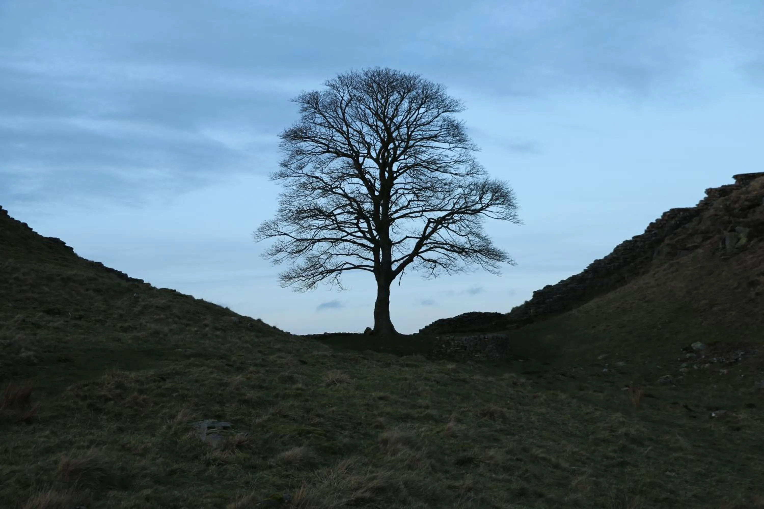 Natural landscape in String Of Horses