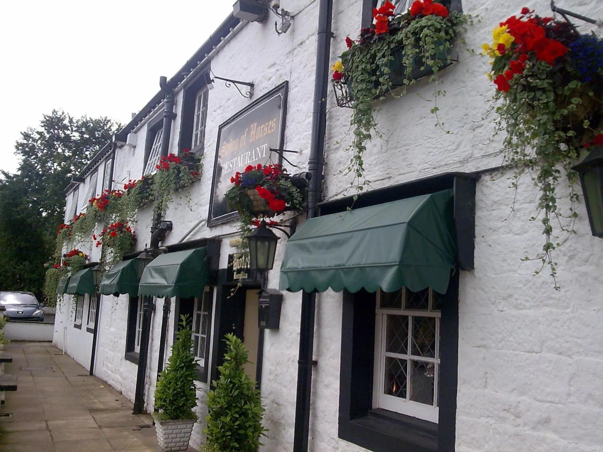 Property building in String Of Horses