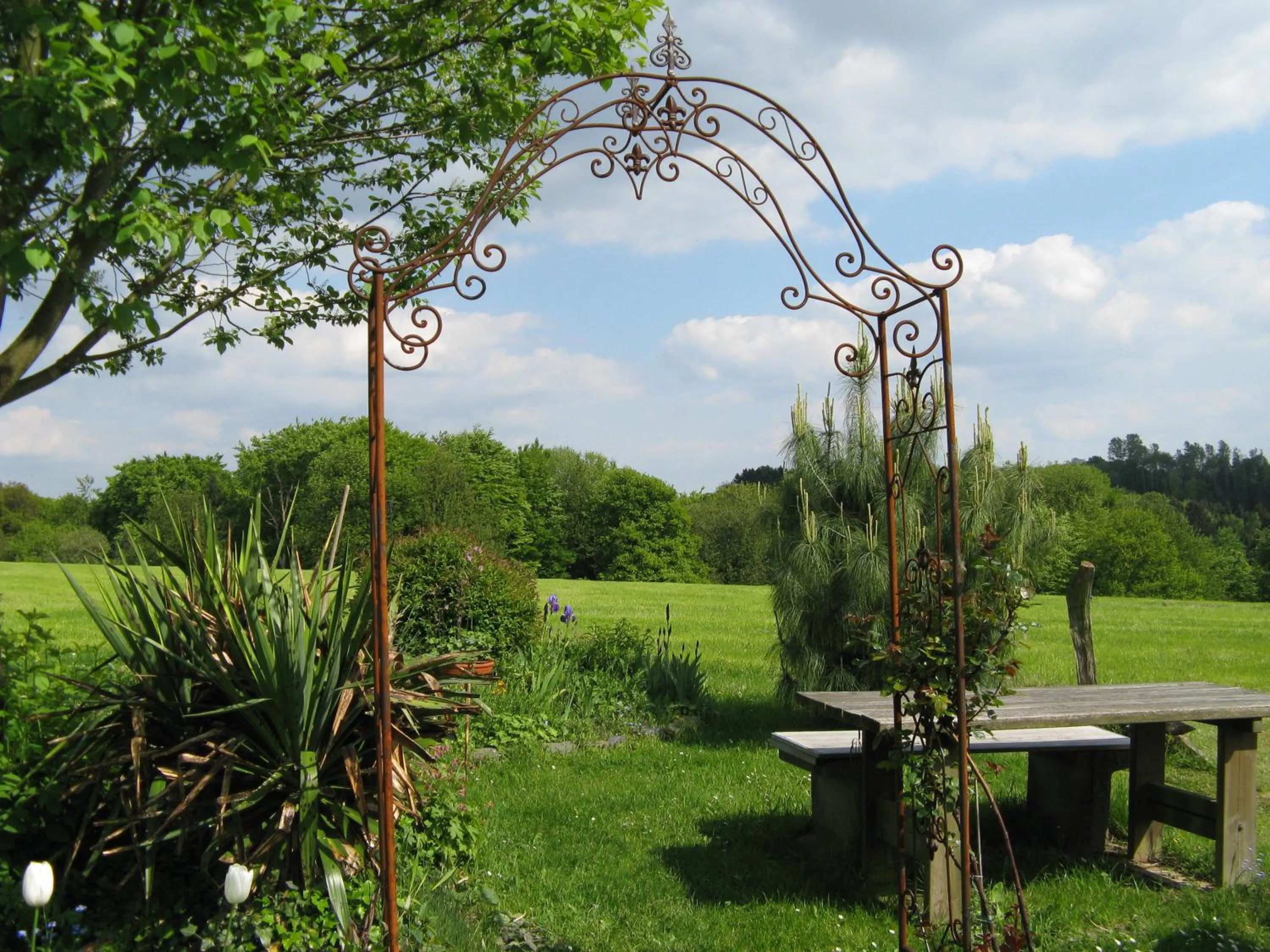 On site in Le Coq Nientiedt