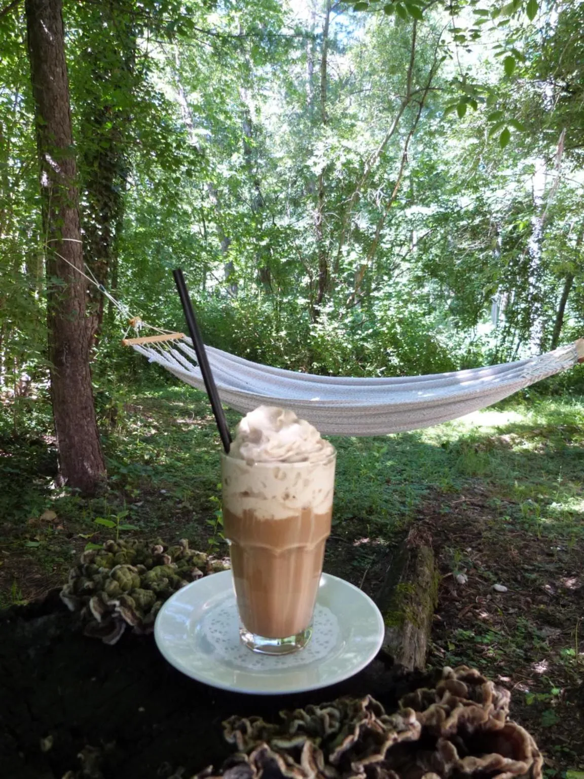 Area and facilities in Hotel Sportcenter Fünf Dörfer AG