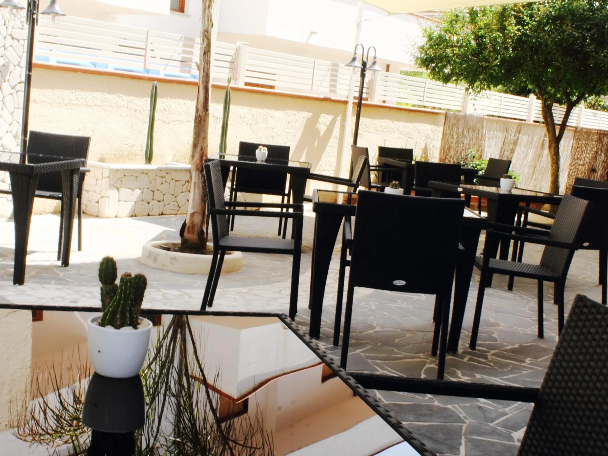 Garden in Hotel Barbieri