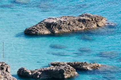 Natural landscape in Hotel Barbieri