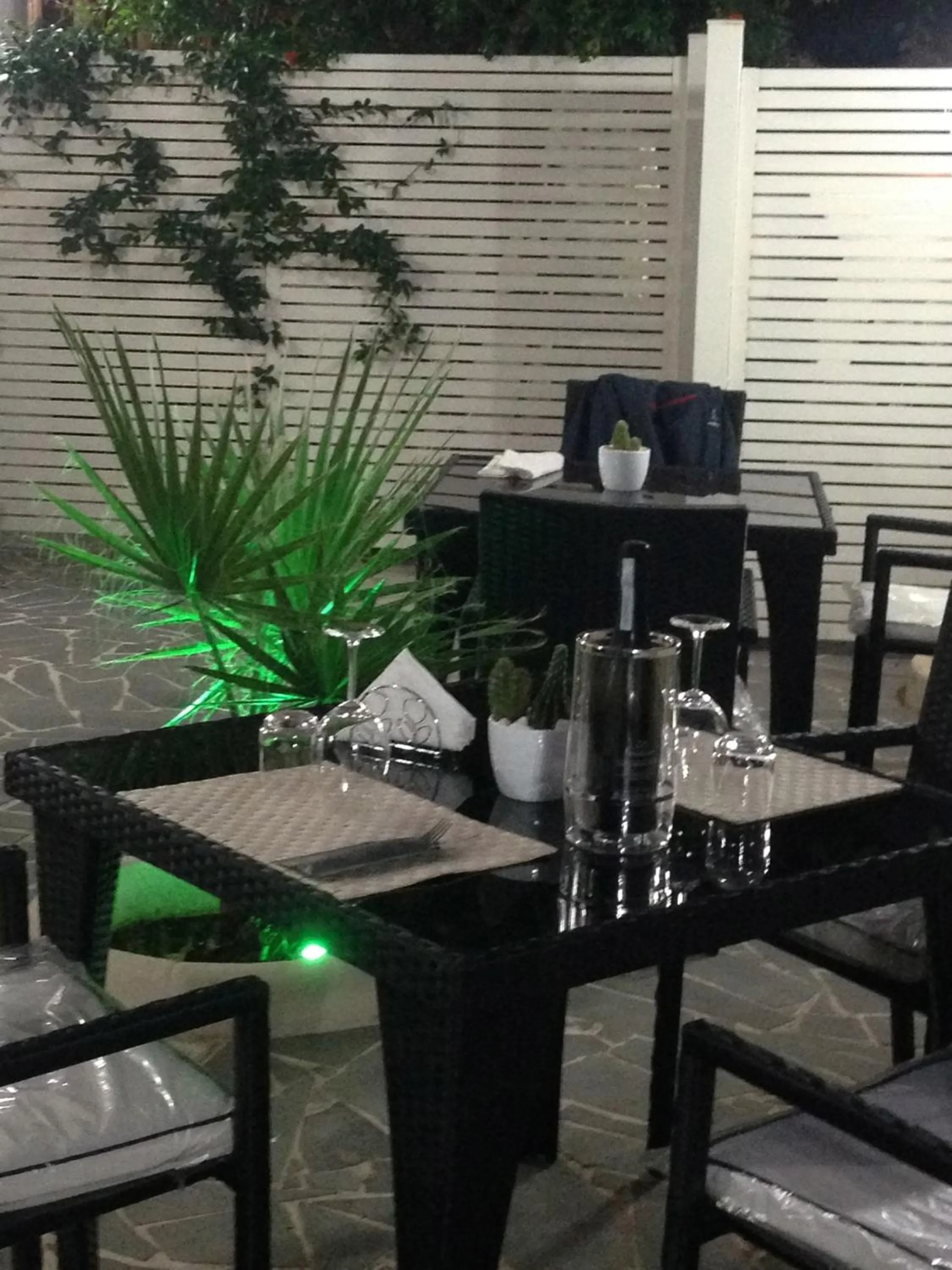 Garden in Hotel Barbieri