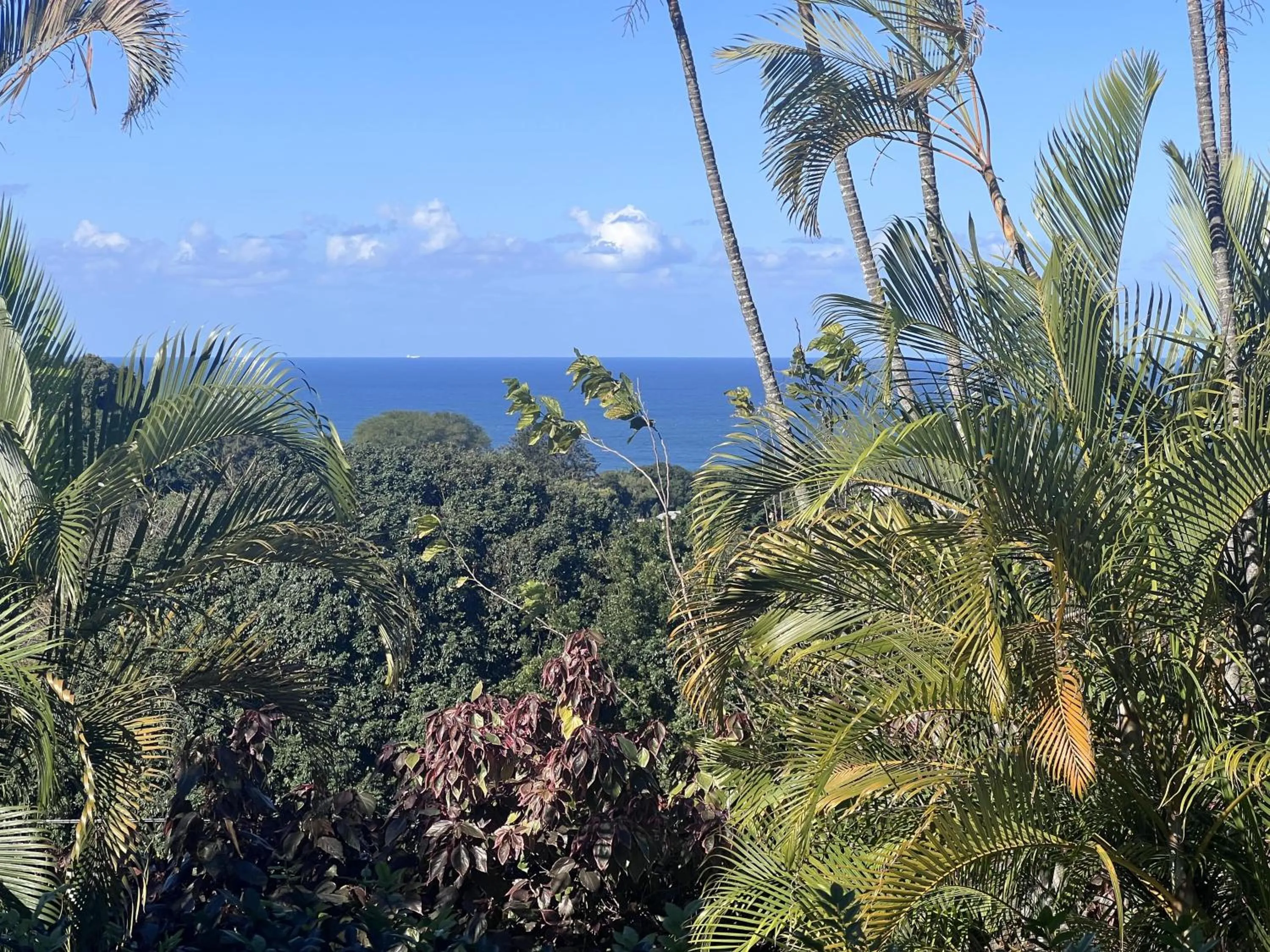 Sea view in Seaview Manor Exquisite Bed & Breakfast