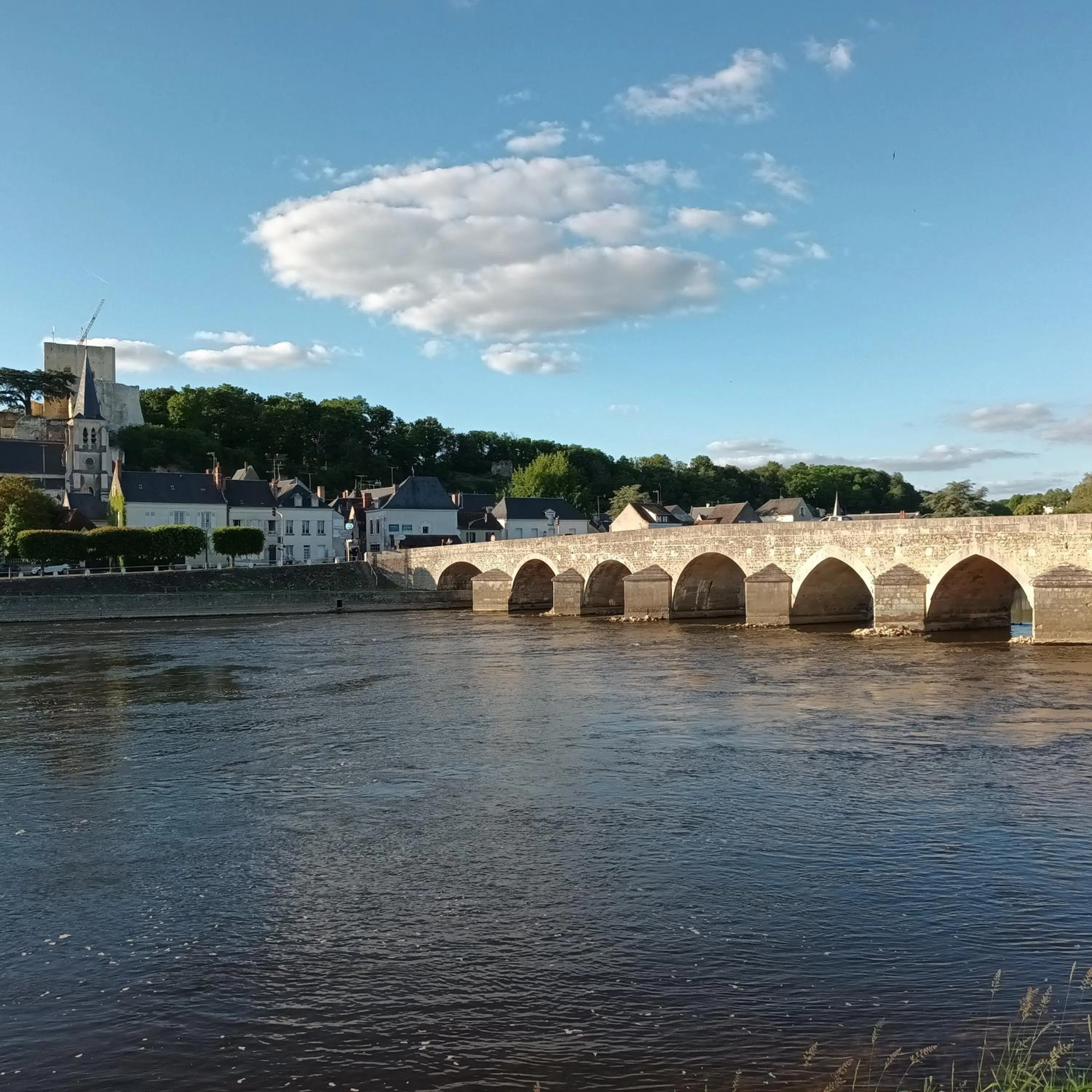 Nearby landmark in Au Nom des Dames, Maison et Table d'Hôtes, près de Chenonceau et du Zoo de Beauval