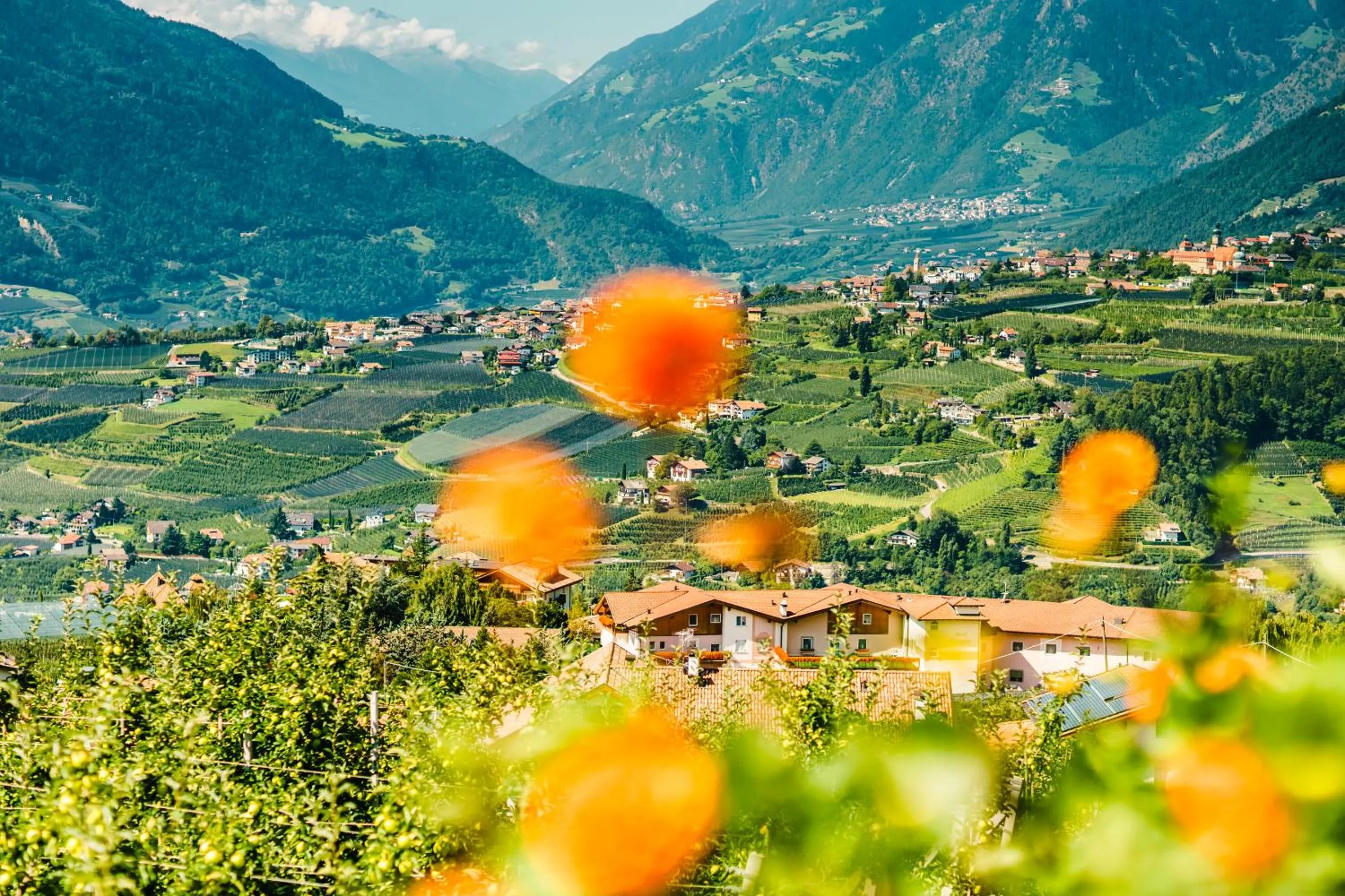 Natural landscape in Oliven- & Genusshotel Hirzer