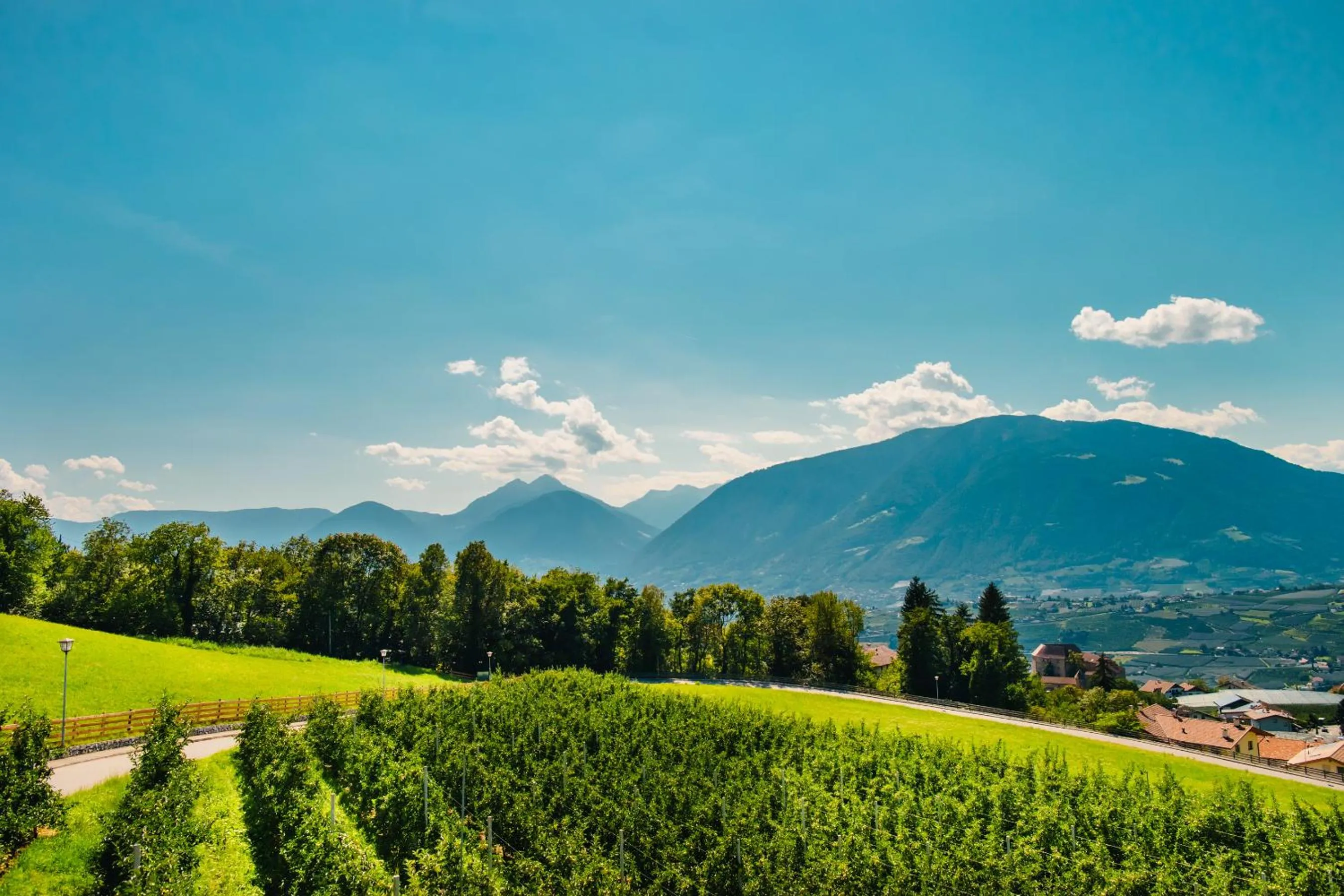 Off site in Oliven- & Genusshotel Hirzer