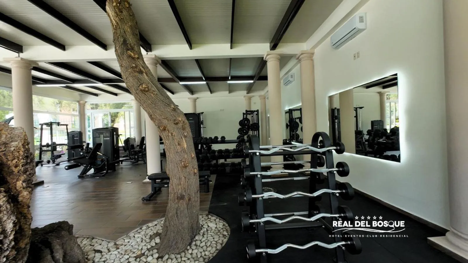 Fitness centre/facilities in Hotel Real del Bosque Golf and Spa