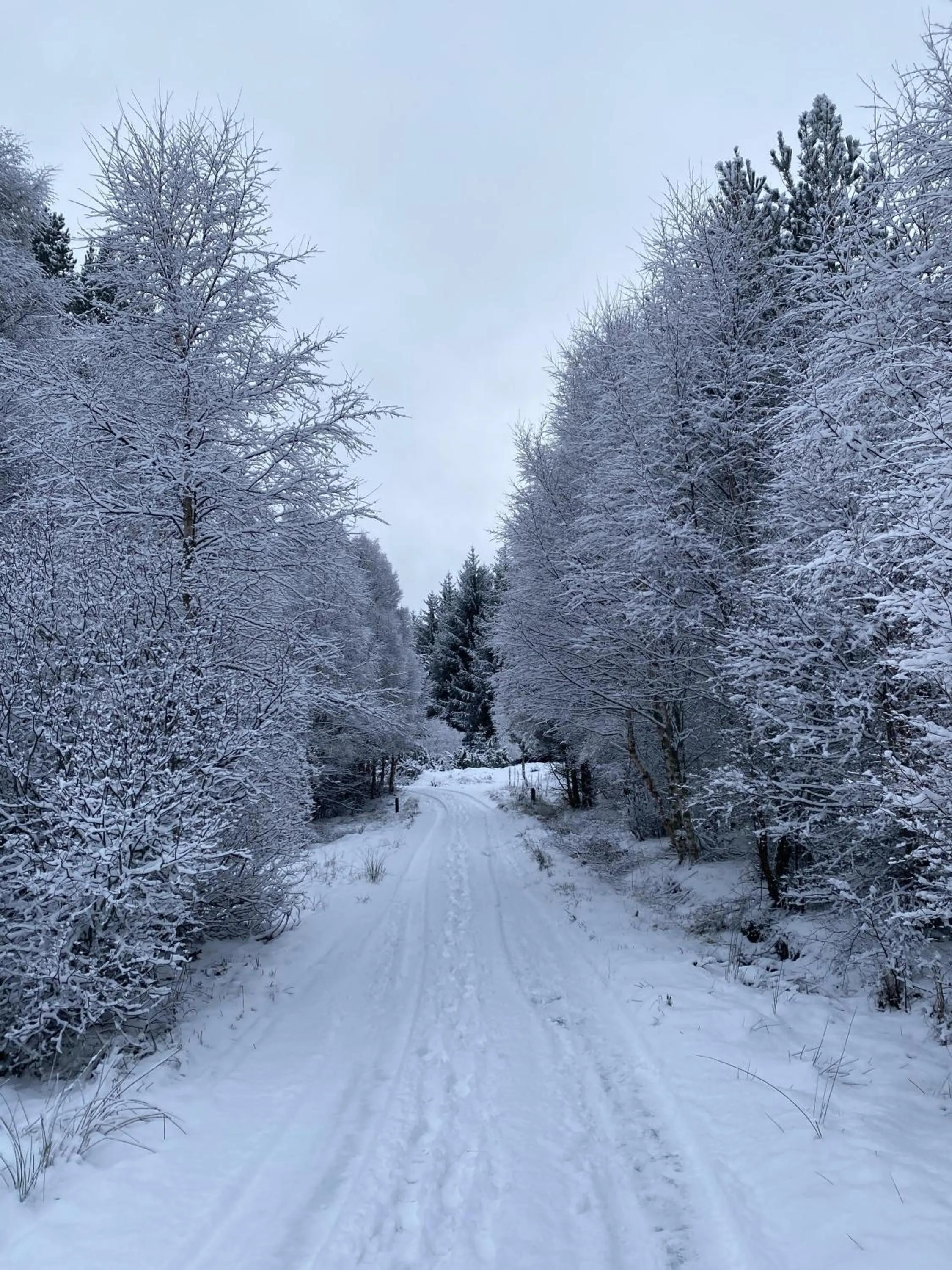 Natural landscape in Glenan Lodge Self Catering