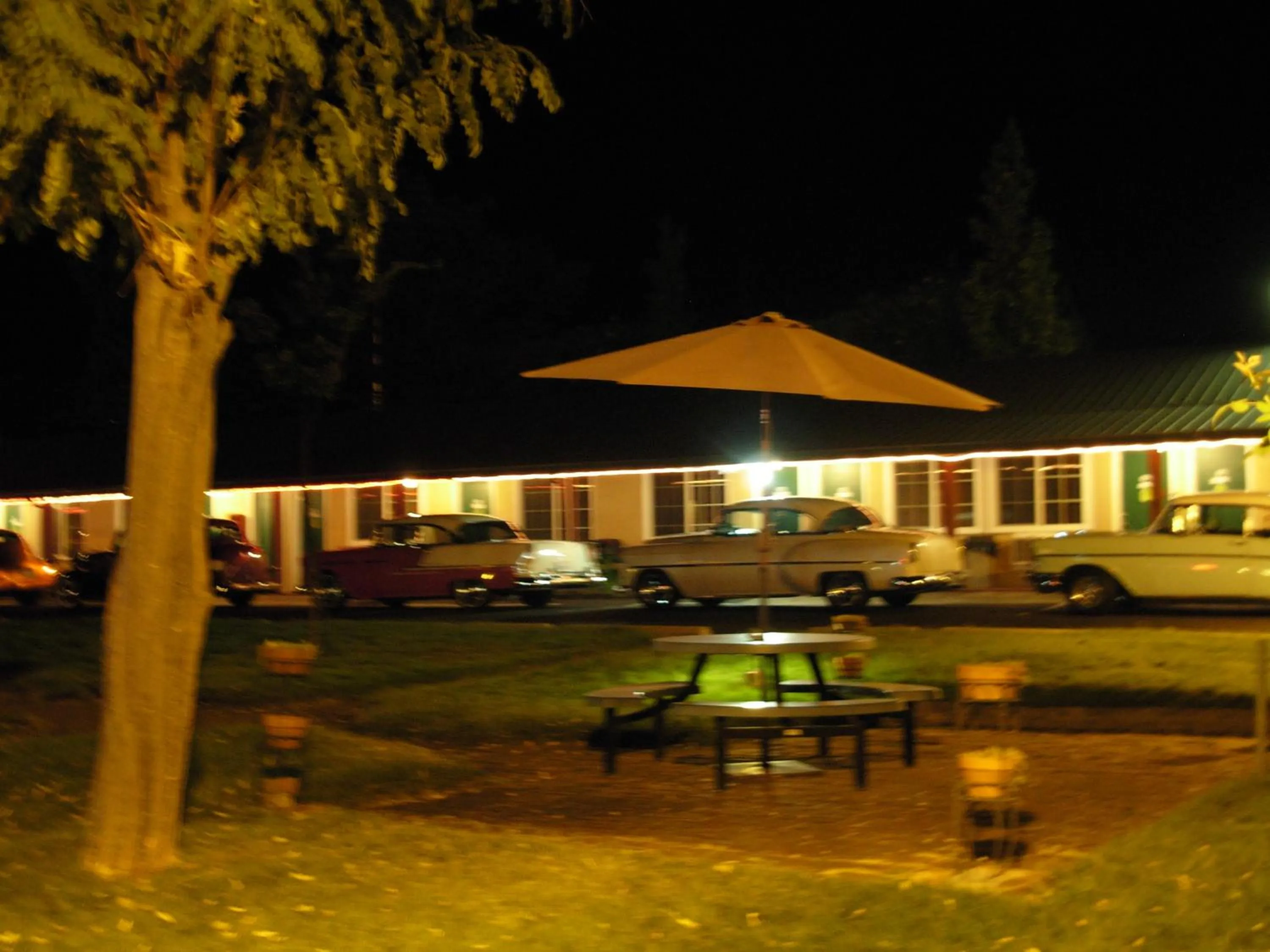 Property building in Jumping Frog Motel