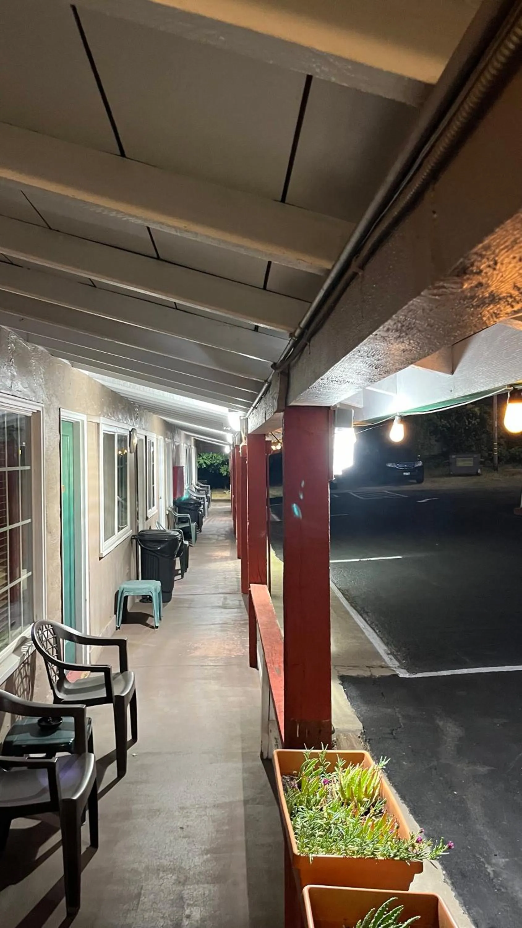 Property building in Jumping Frog Motel