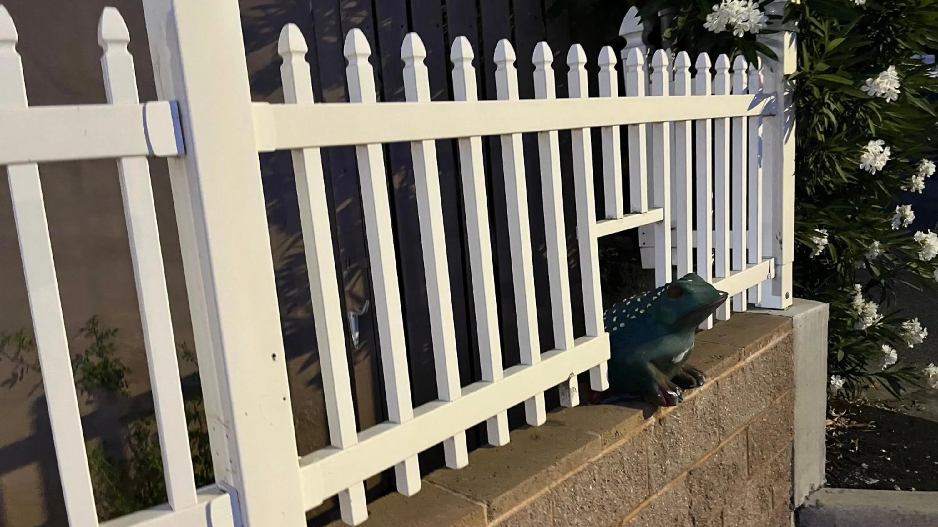 Property building in Jumping Frog Motel