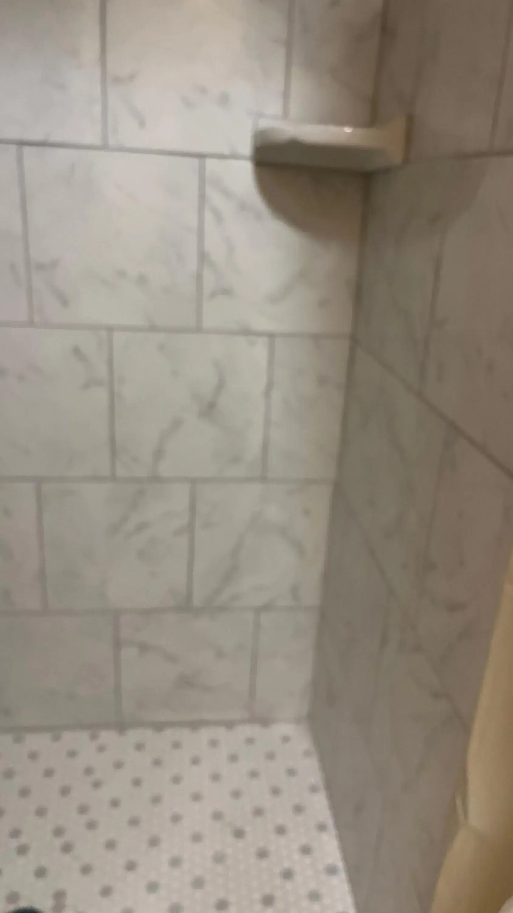 Queen Room - single occupancy in Jumping Frog Motel Queen Room - single occupancy in Jumping Frog Motel