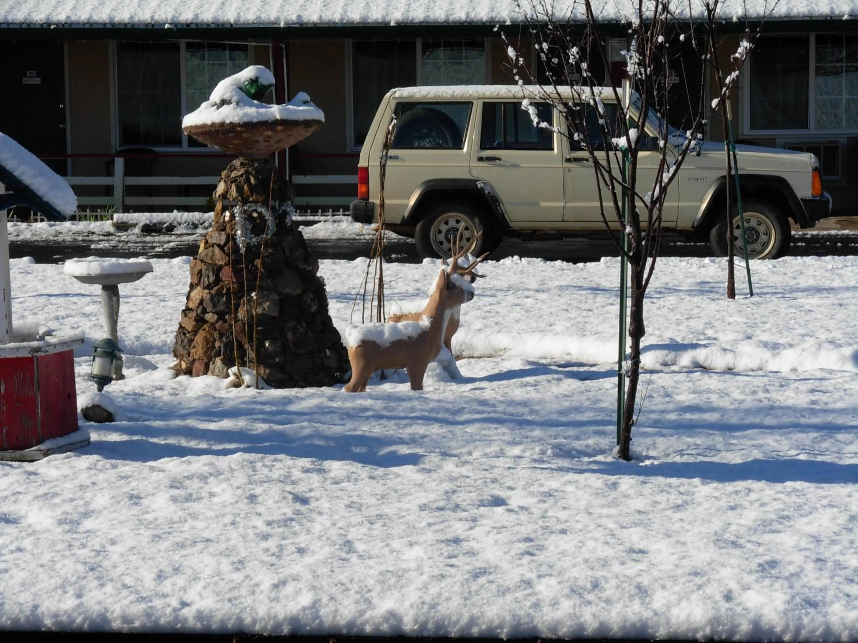 Day in Jumping Frog Motel