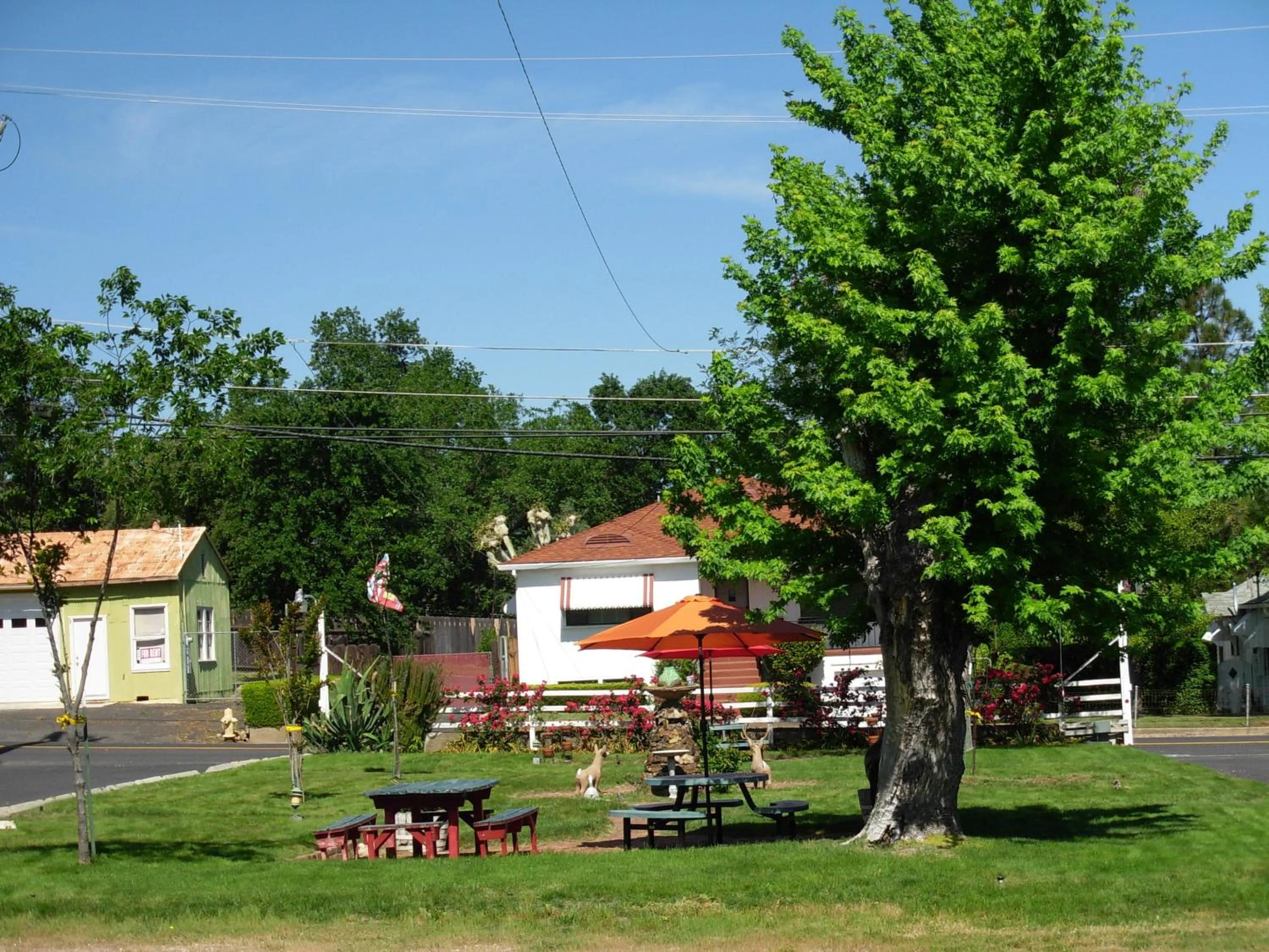 Garden in Jumping Frog Motel