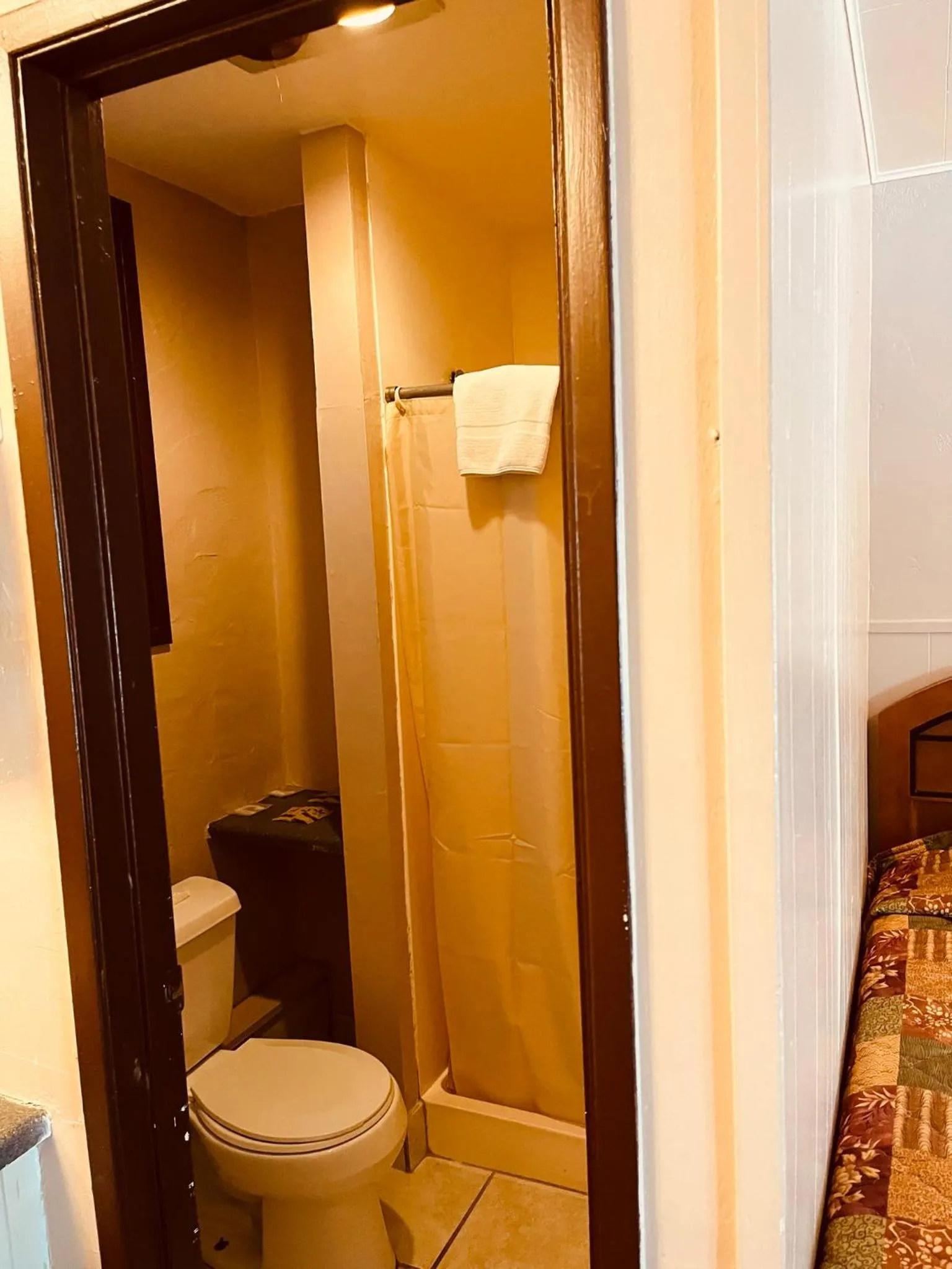 Toilet in Jumping Frog Motel