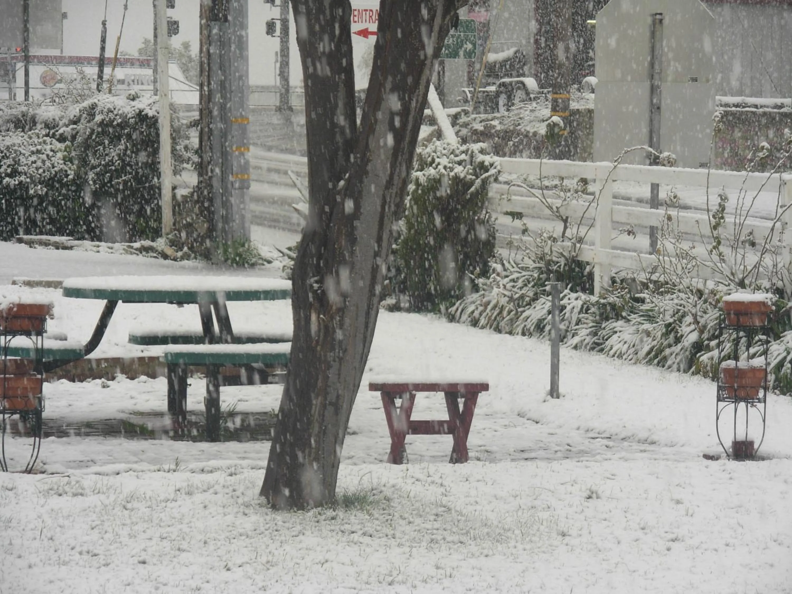 Day in Jumping Frog Motel