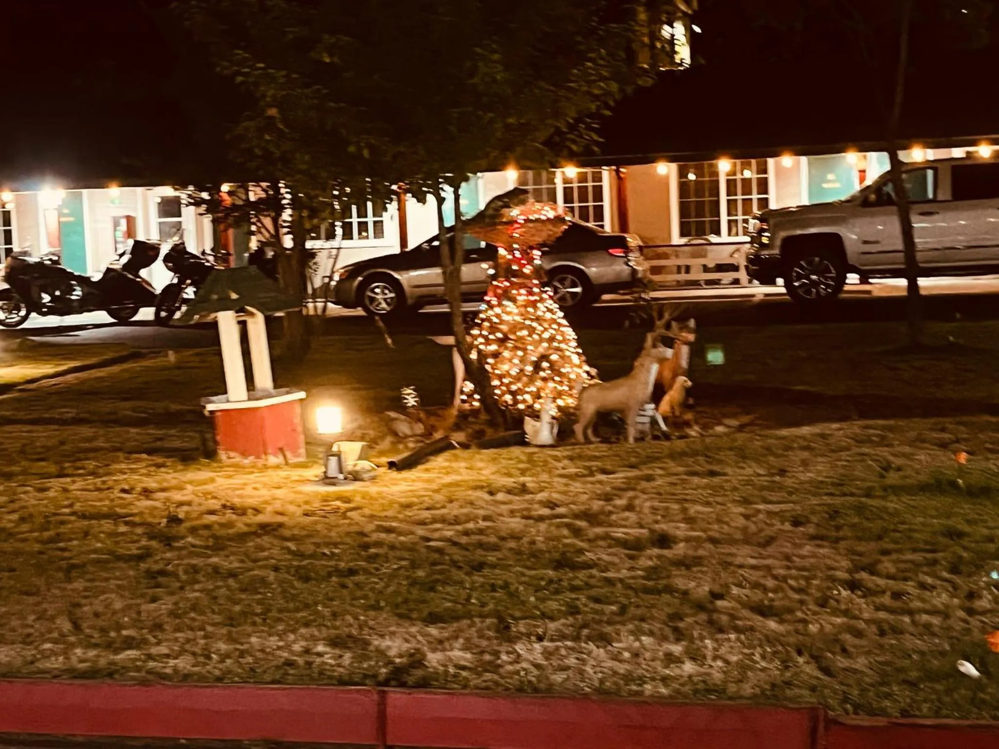 Property building in Jumping Frog Motel