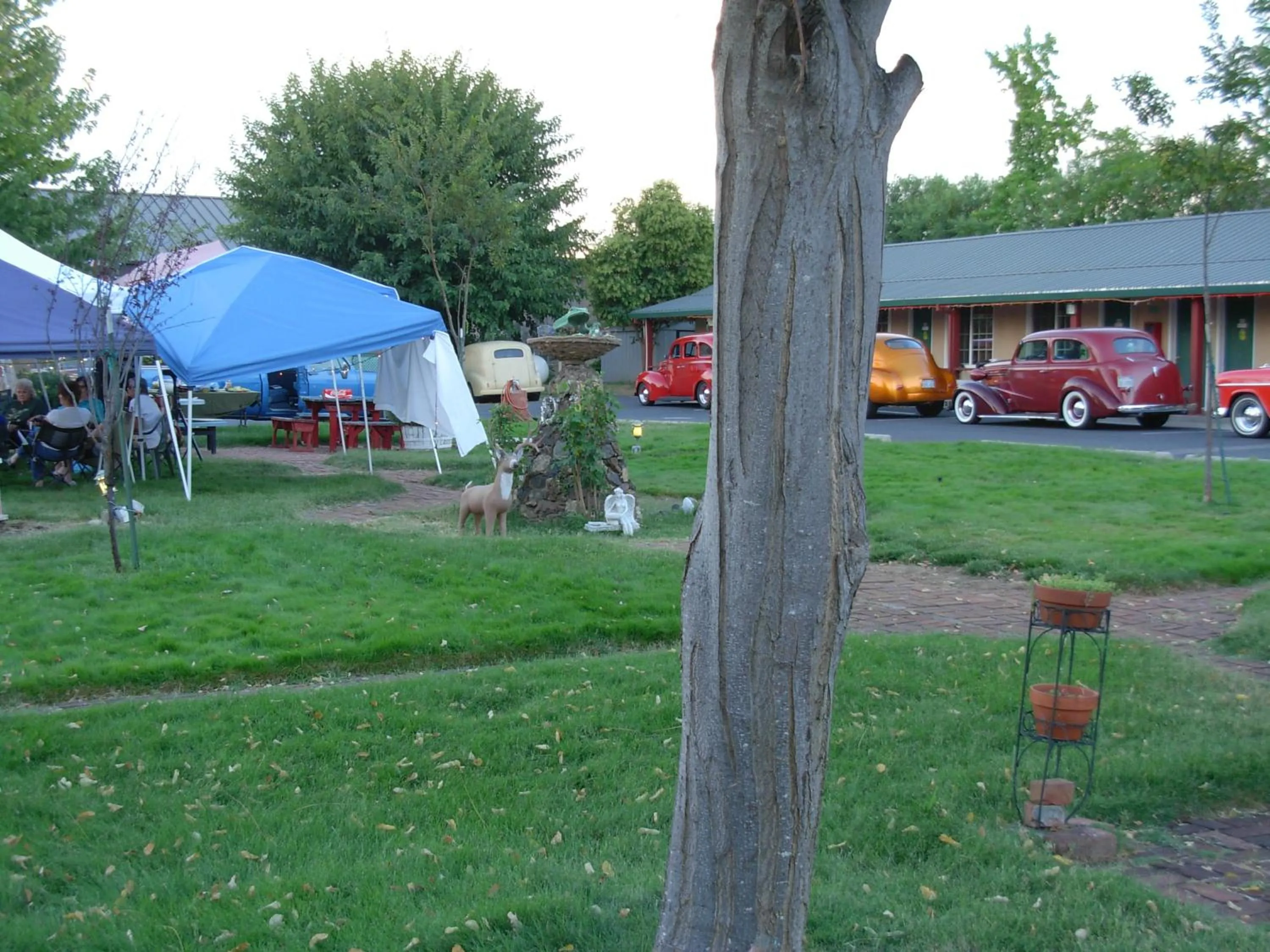 Location in Jumping Frog Motel